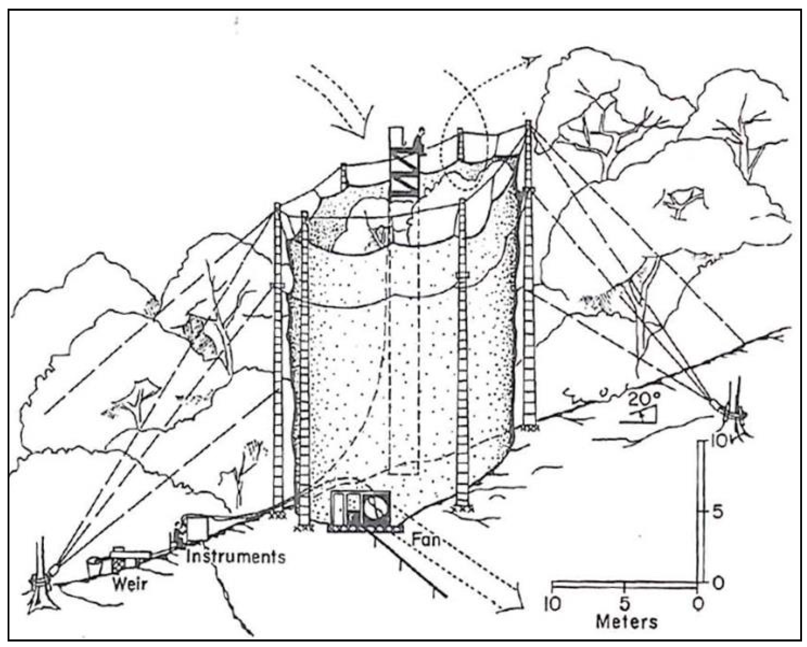 Forests 10 00210 g004 Forests 10 00210 g004