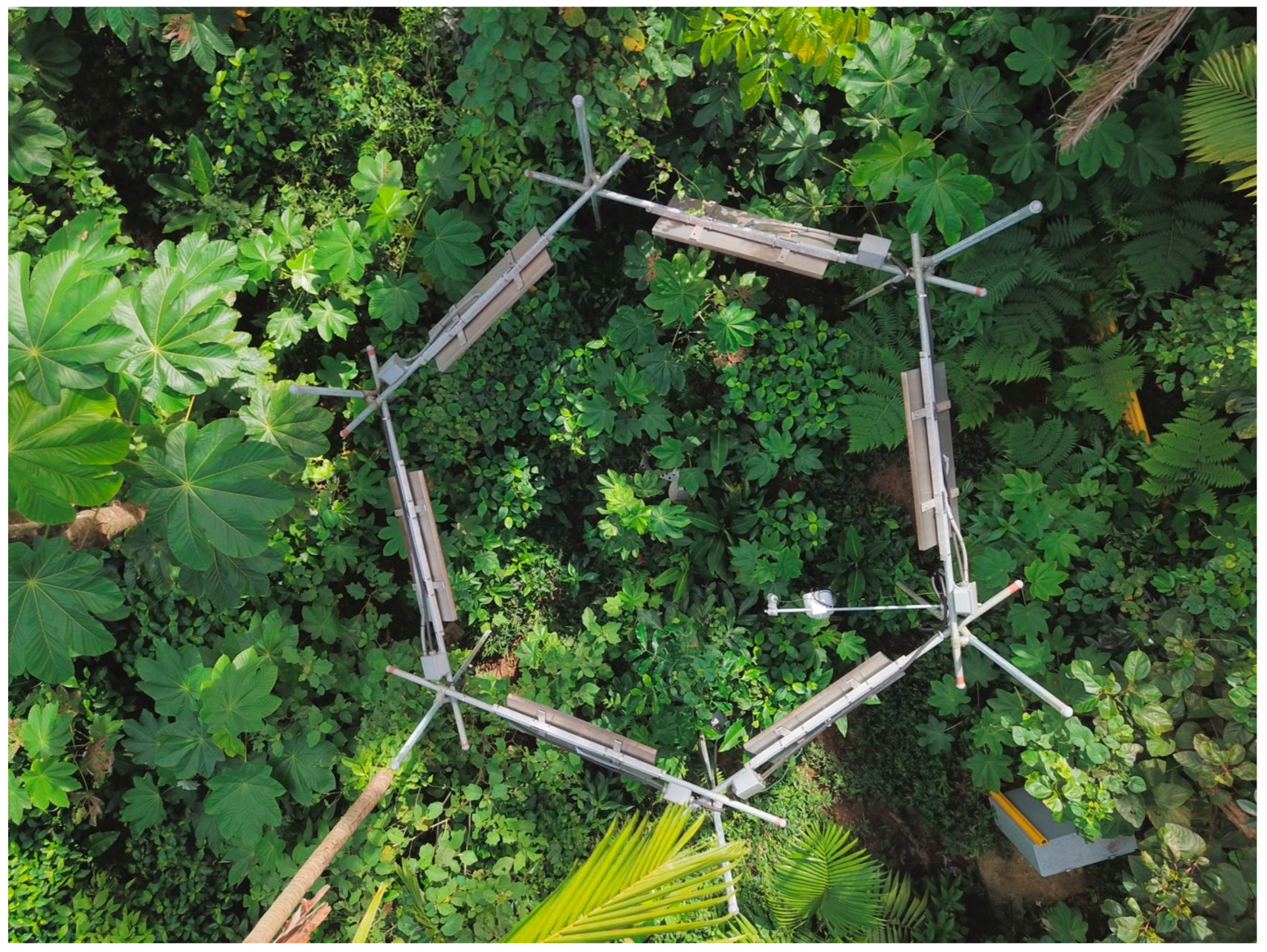 Forests 10 00210 g006 Forests 10 00210 g006