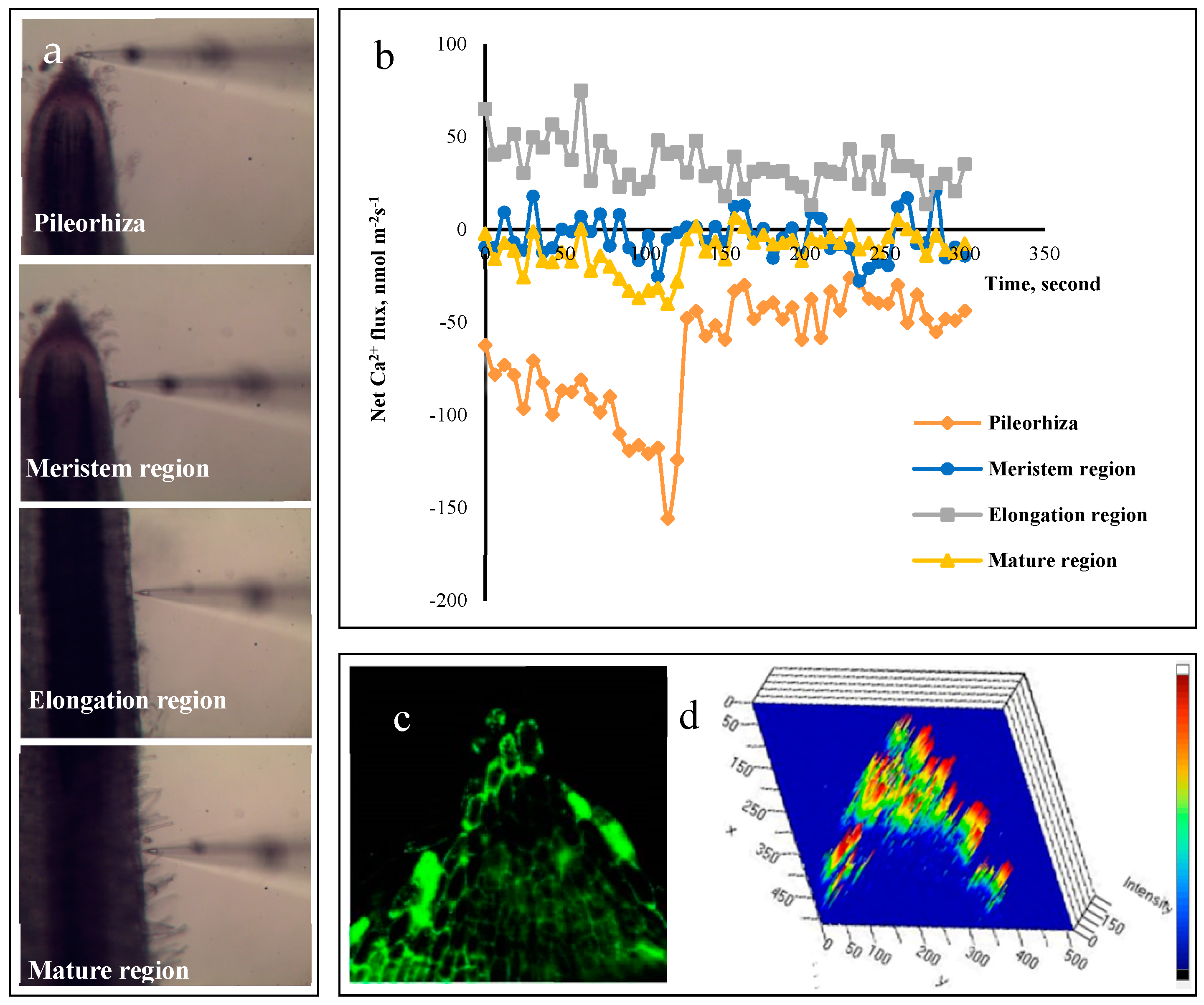 Forests 10 00224 g003