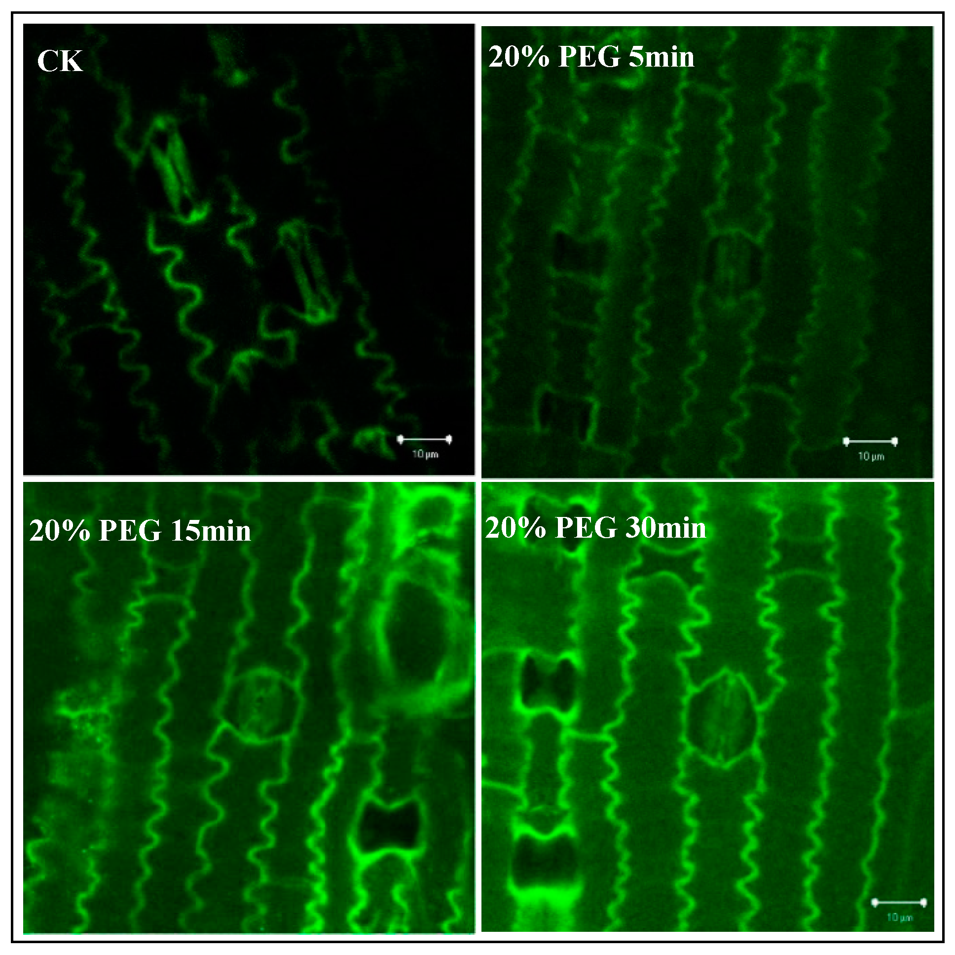 Forests 10 00224 g007