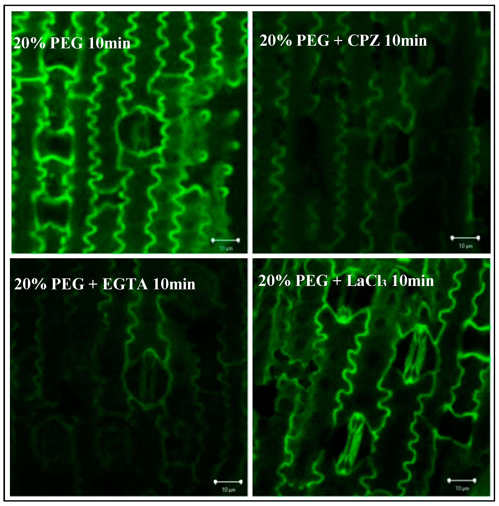 Forests 10 00224 g008