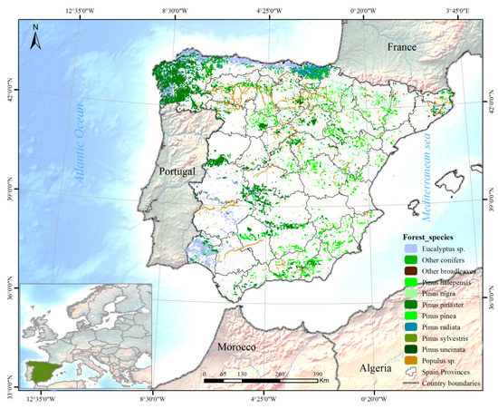 Forests | Free Full-Text | Lessons Learned from Arson Wildfire ...