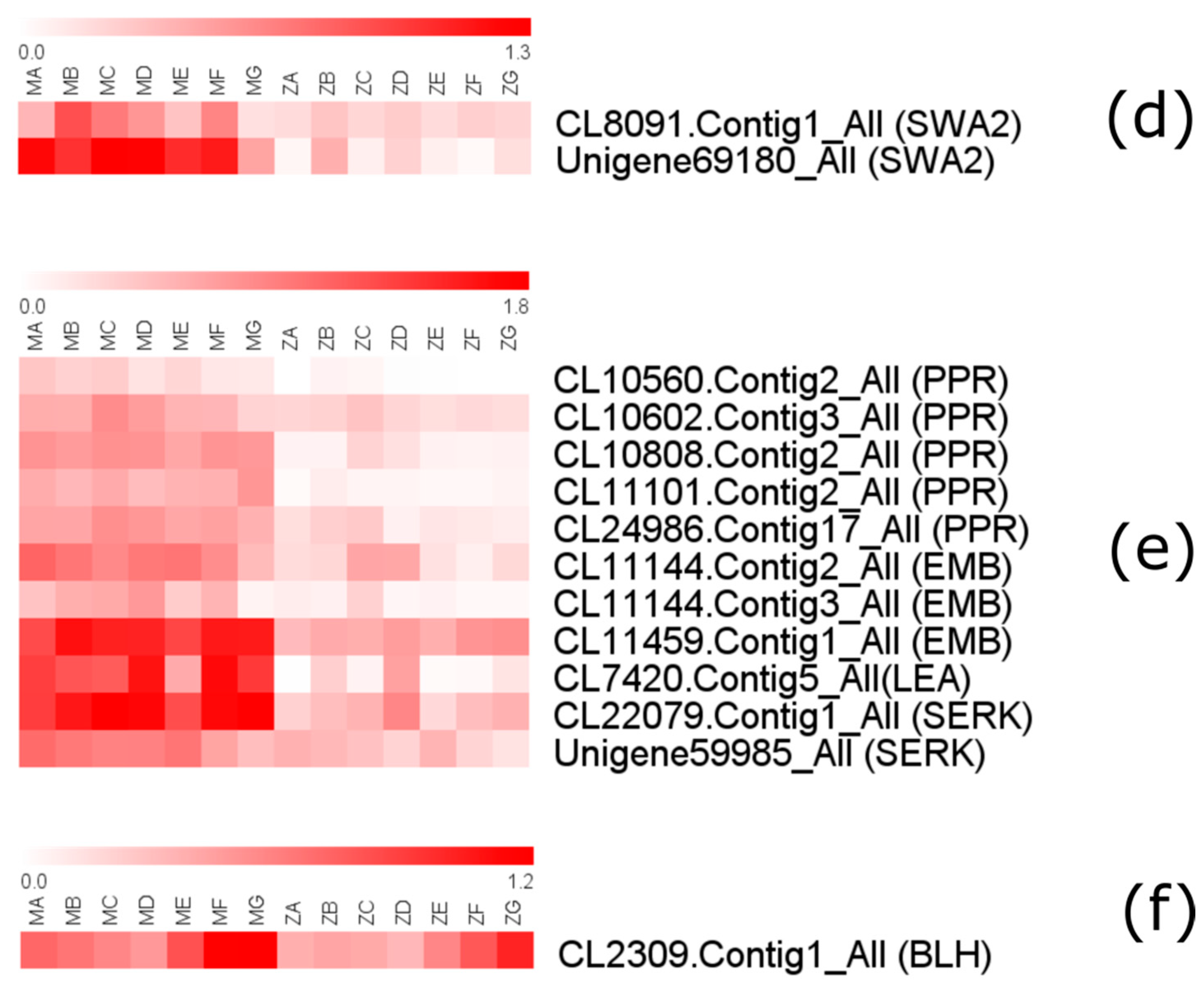 Forests 10 00230 g009b Forests 10 00230 g009b