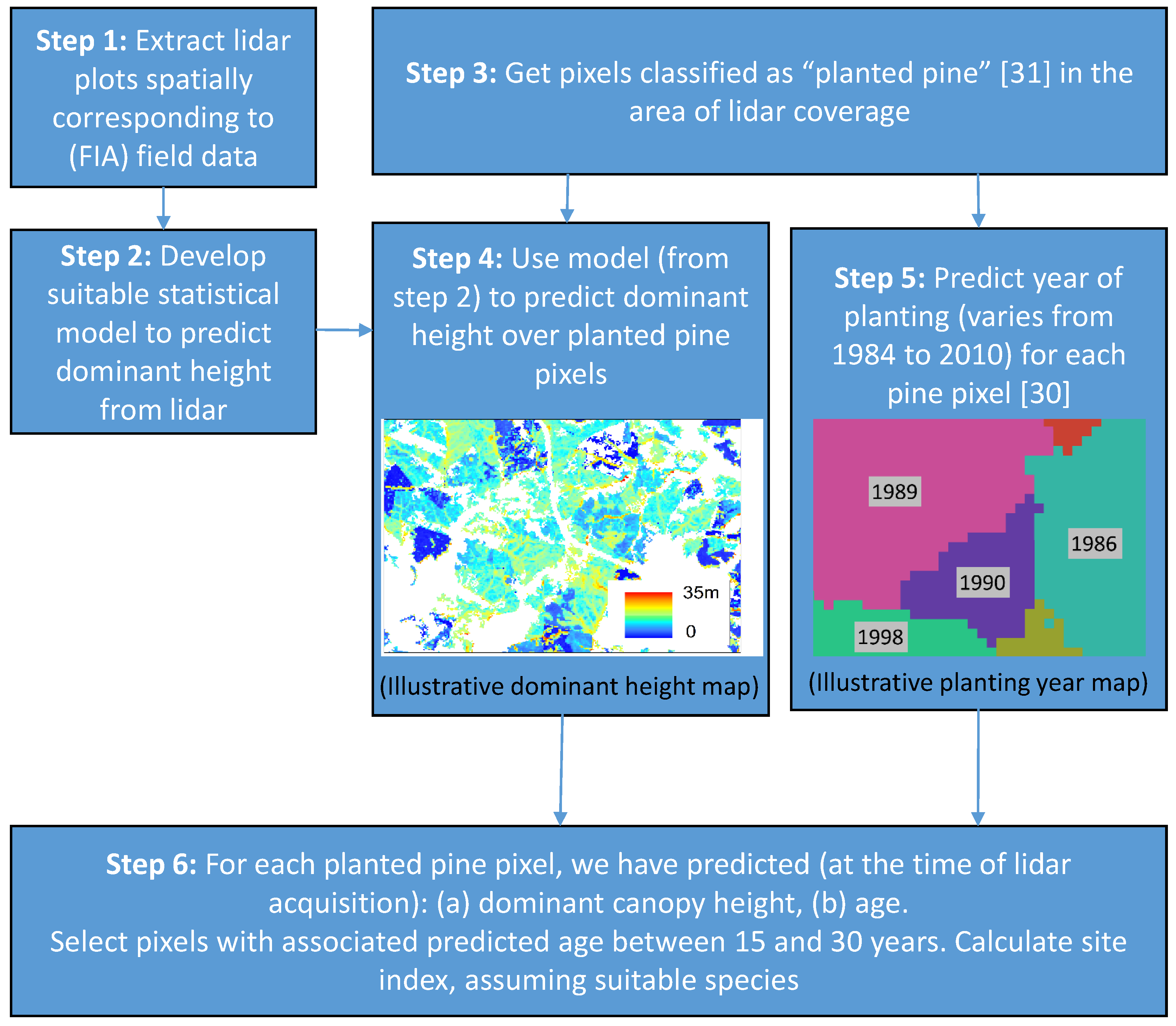 Forests 10 00234 g005 Forests 10 00234 g005