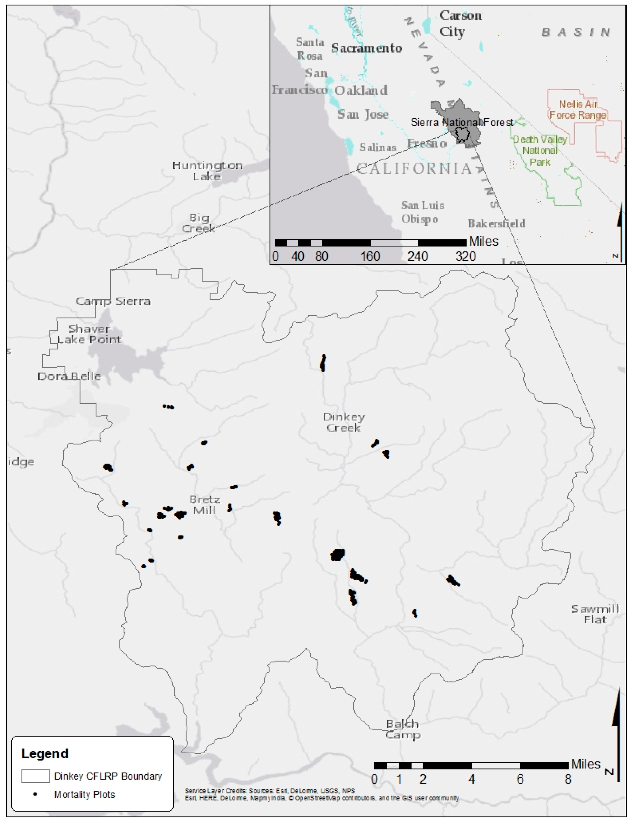 Forests 10 00237 g001 Forests 10 00237 g001