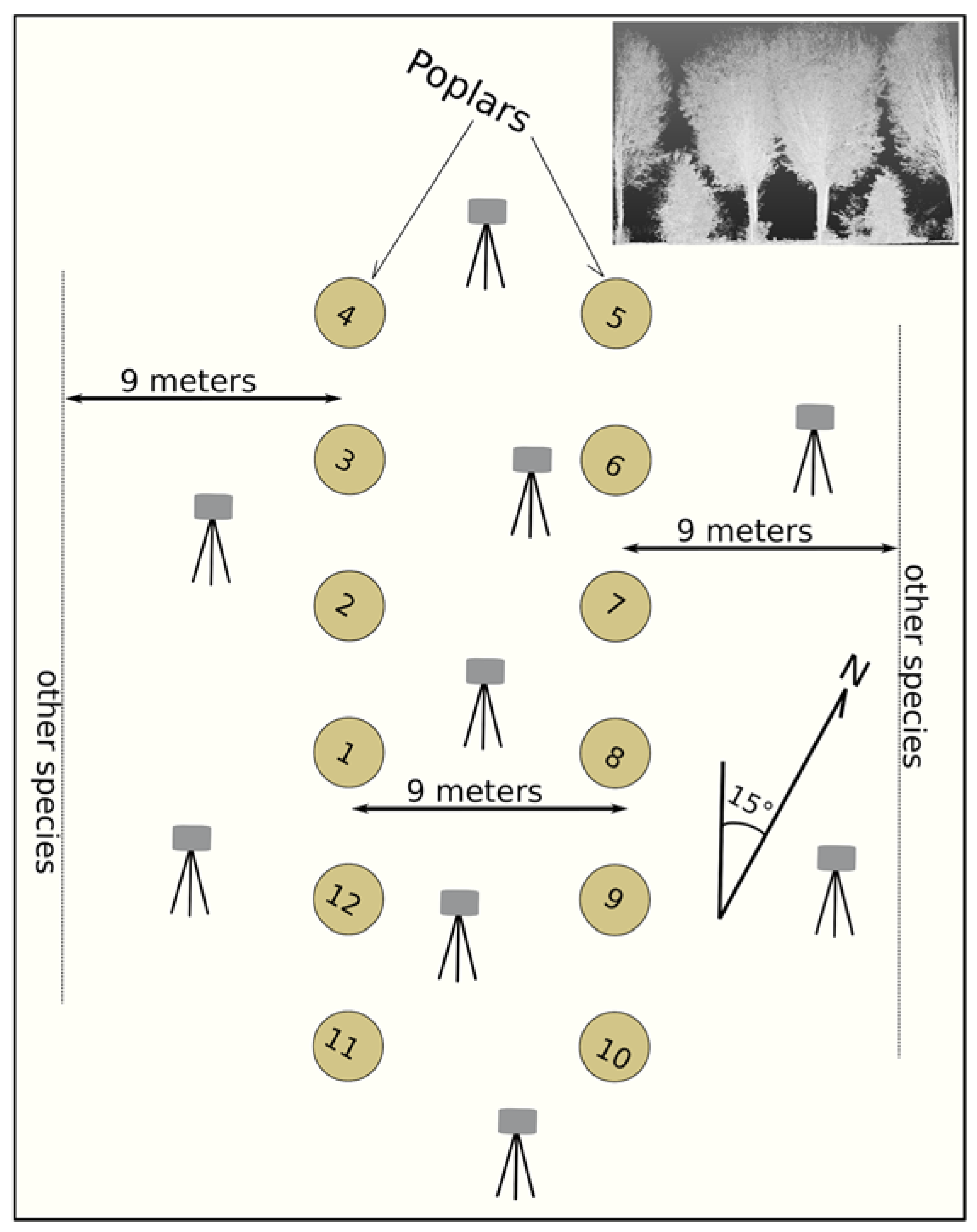 Forests 10 00239 g001