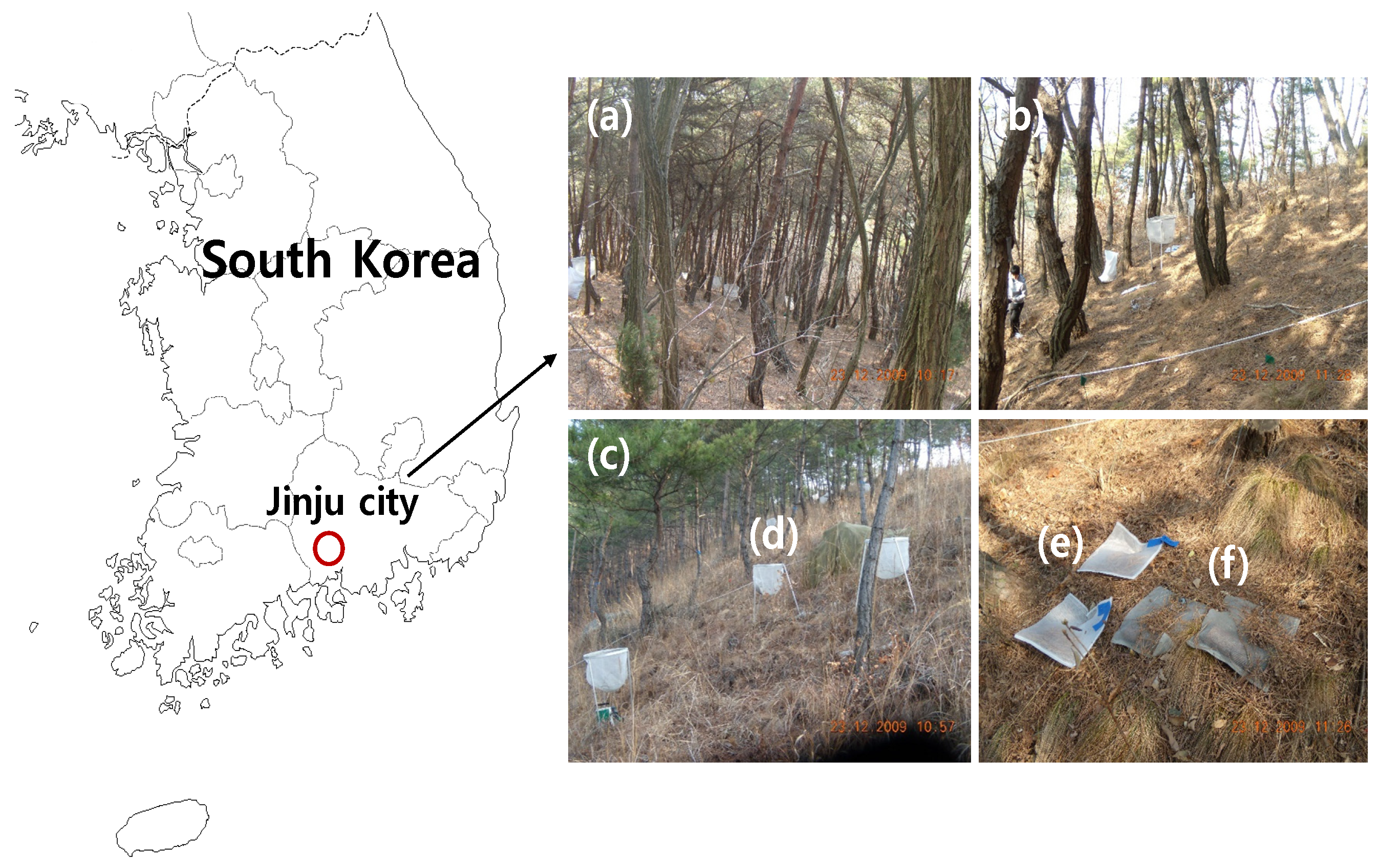 Forests 10 00244 g001 Forests 10 00244 g001