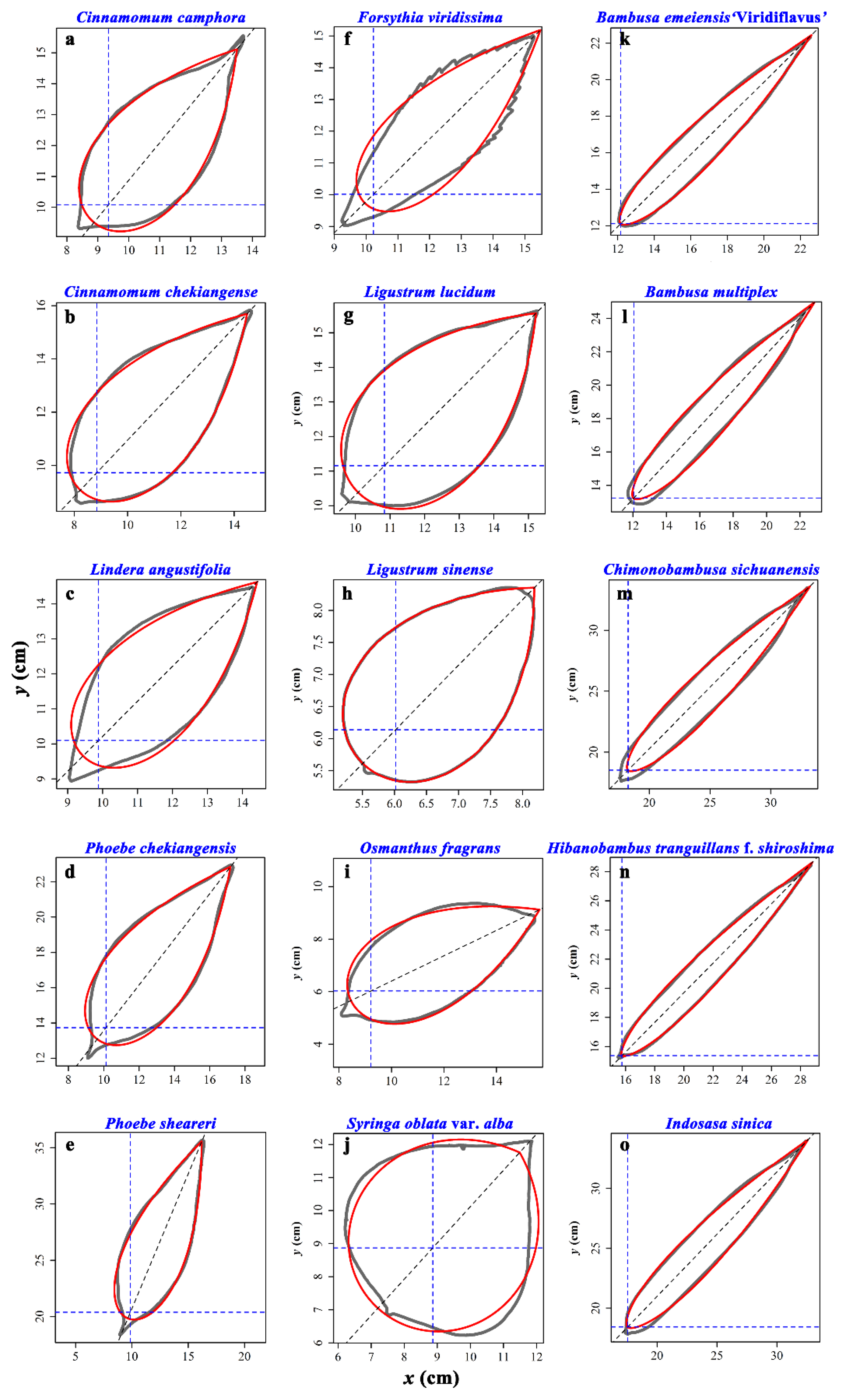 Forests 10 00256 g010 550