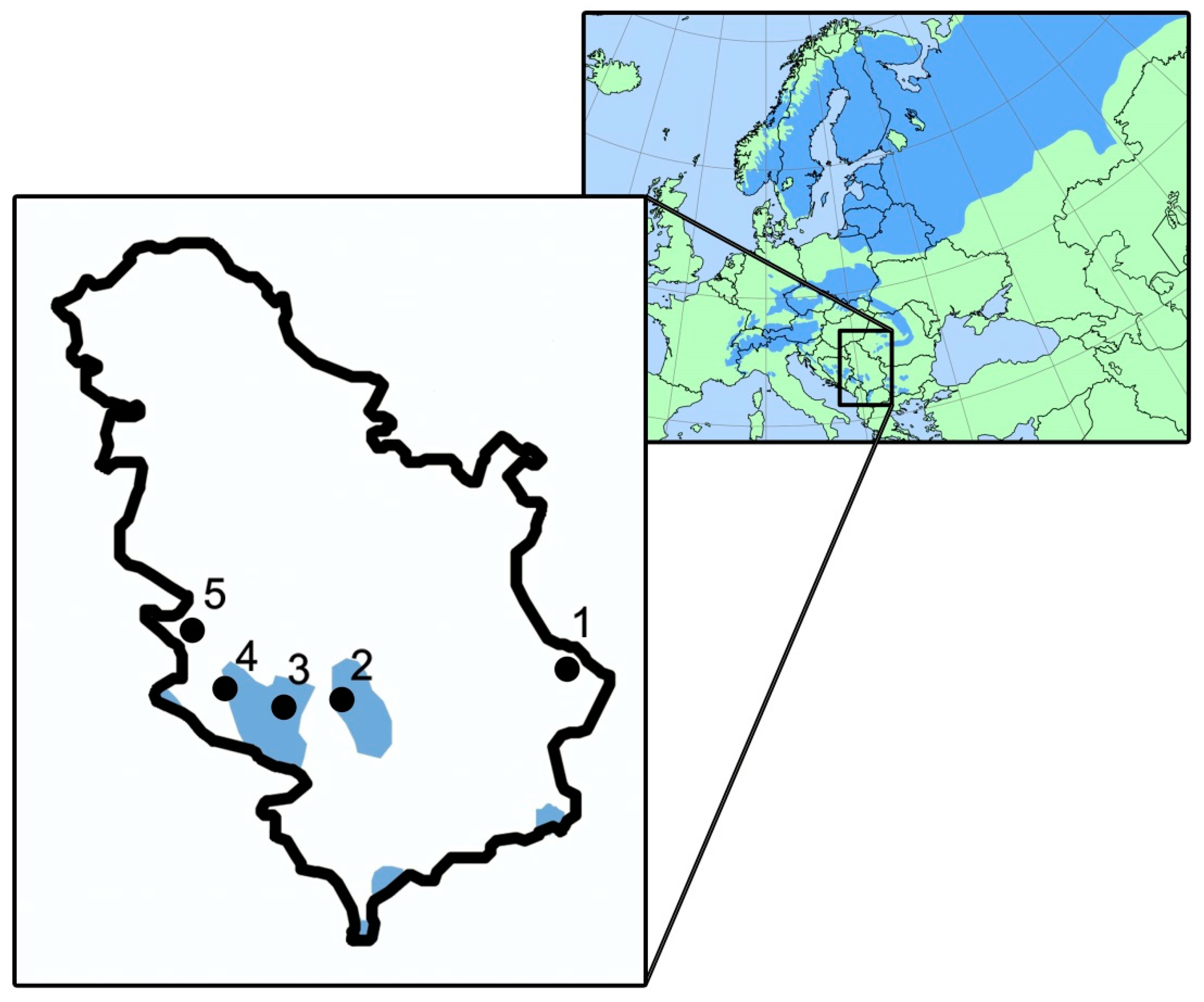 Forests 10 00258 g001 550