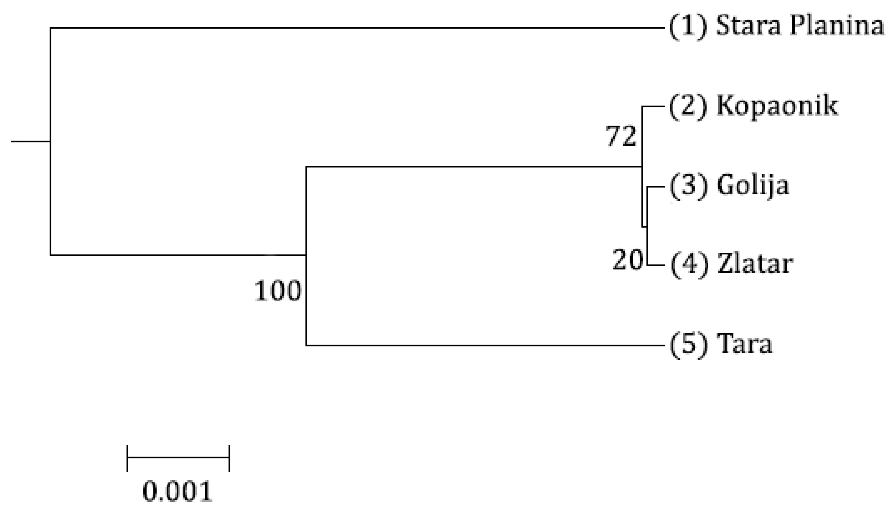 Forests 10 00258 g003 550