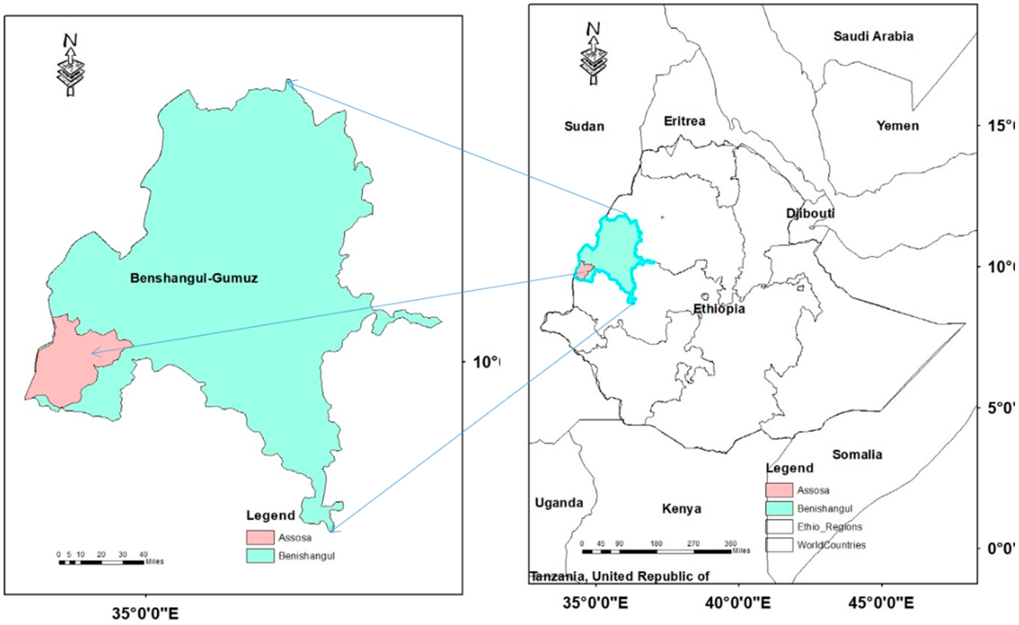 Forests 10 00266 g001 Forests 10 00266 g001