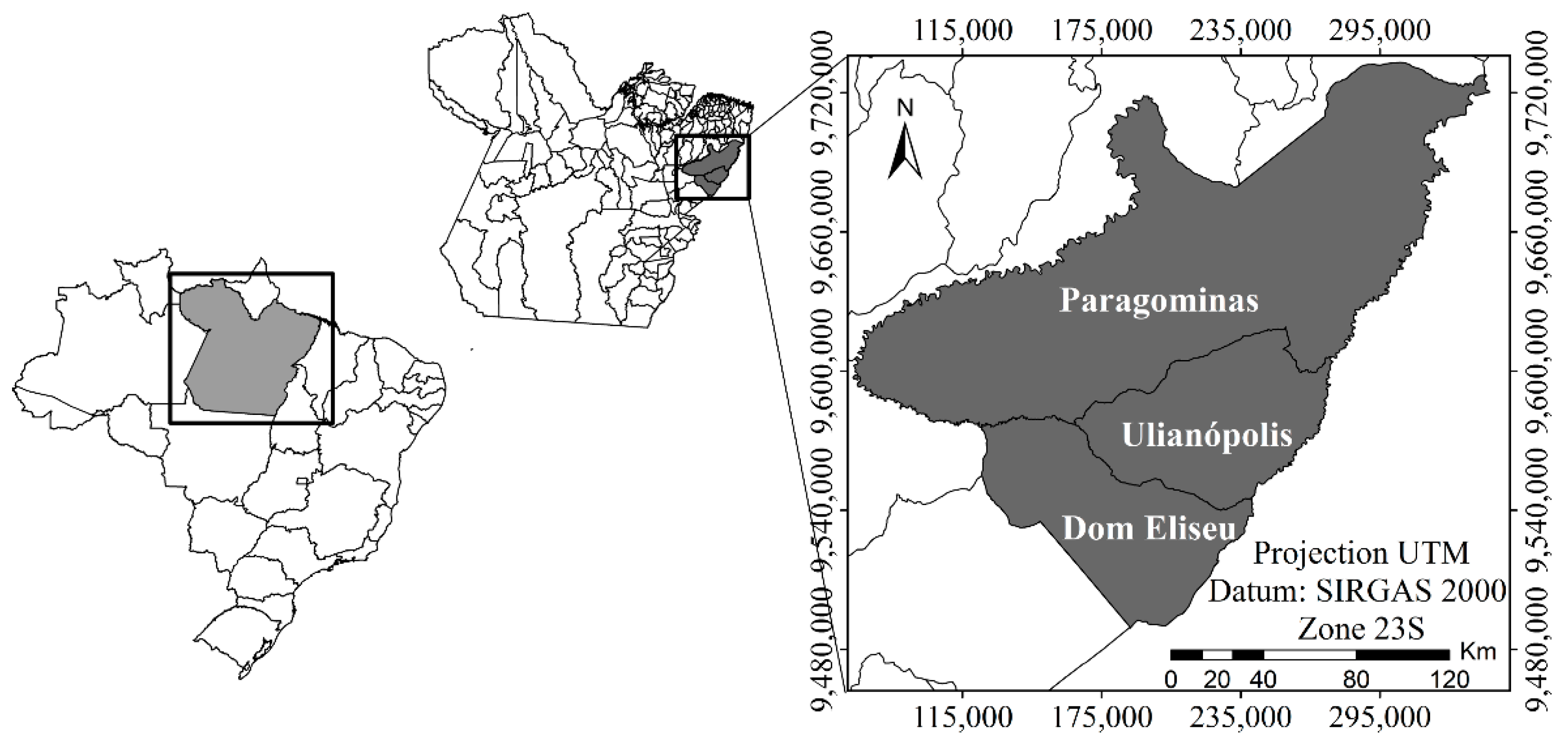 Forests 10 00268 g001