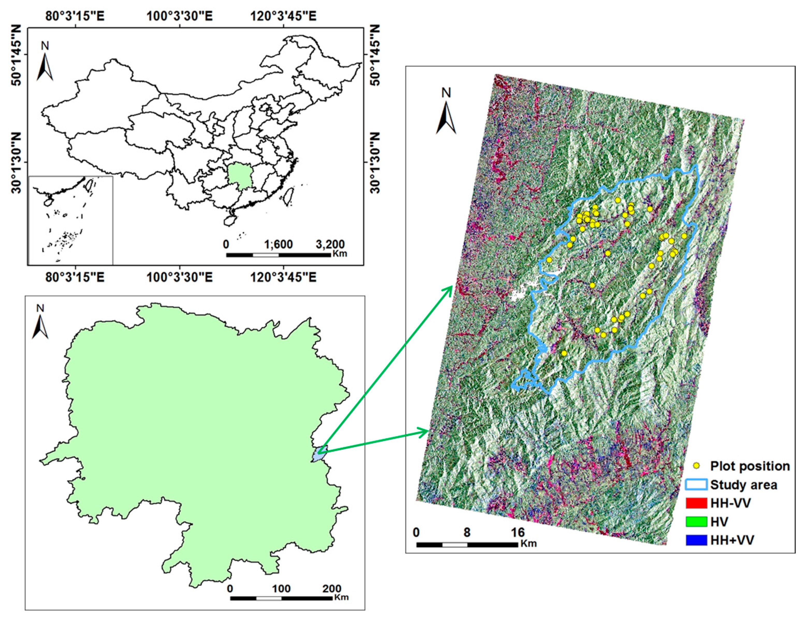 Forests 10 00276 g001