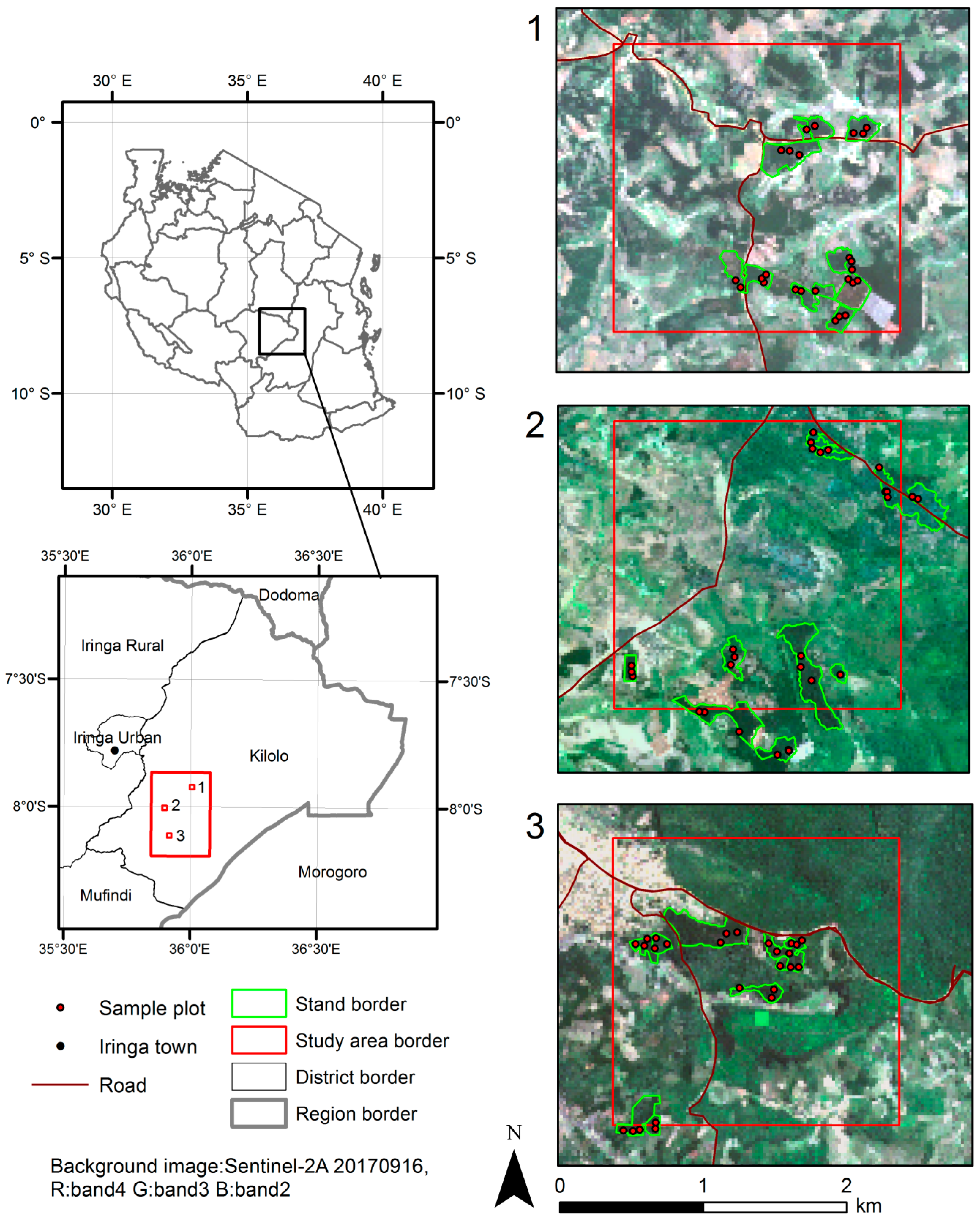 Forests 10 00279 g001