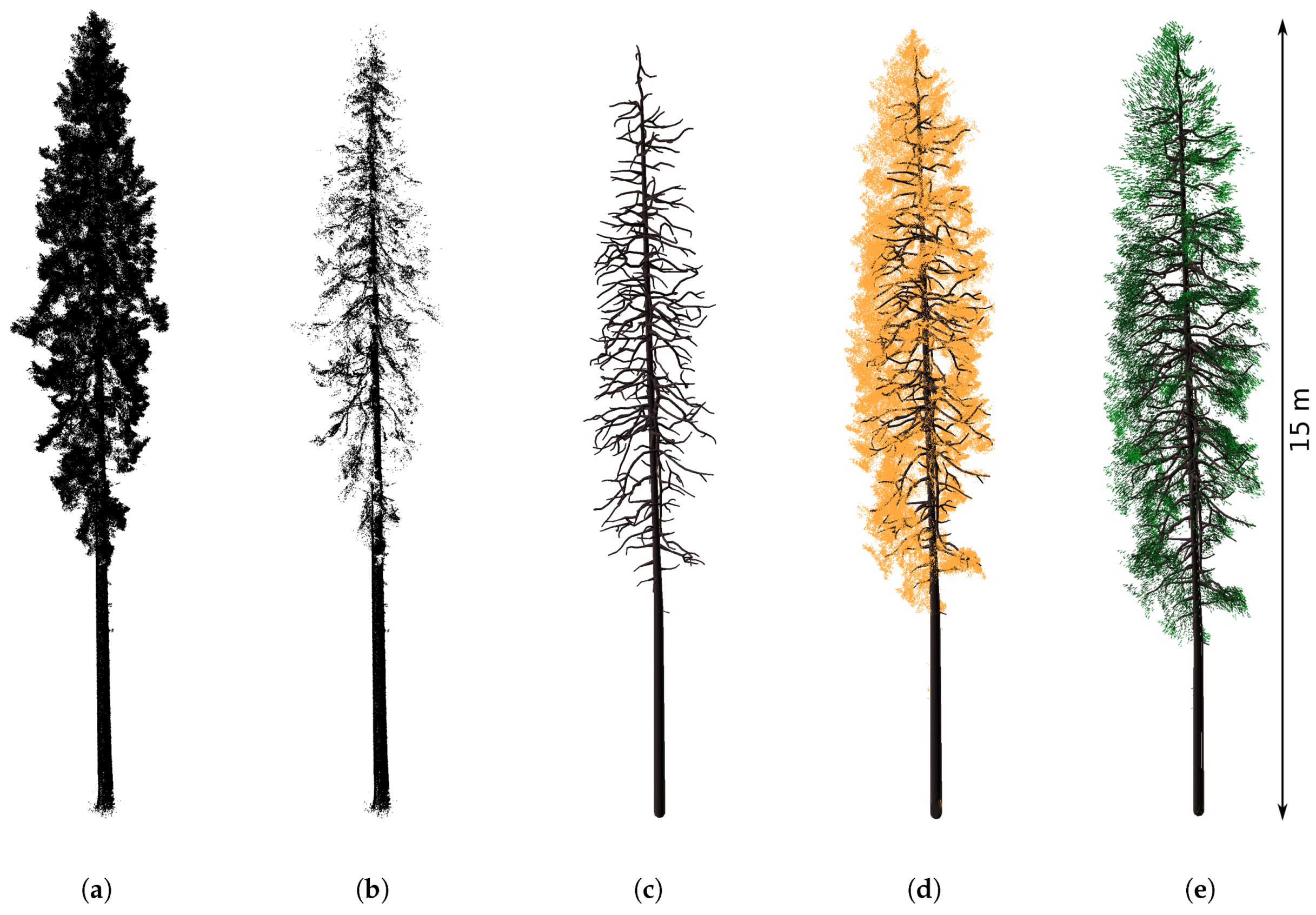 Forests 10 00292 g003 Forests 10 00292 g003