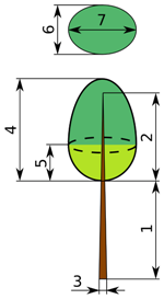 Forests 10 00292 i001 Forests 10 00292 i001