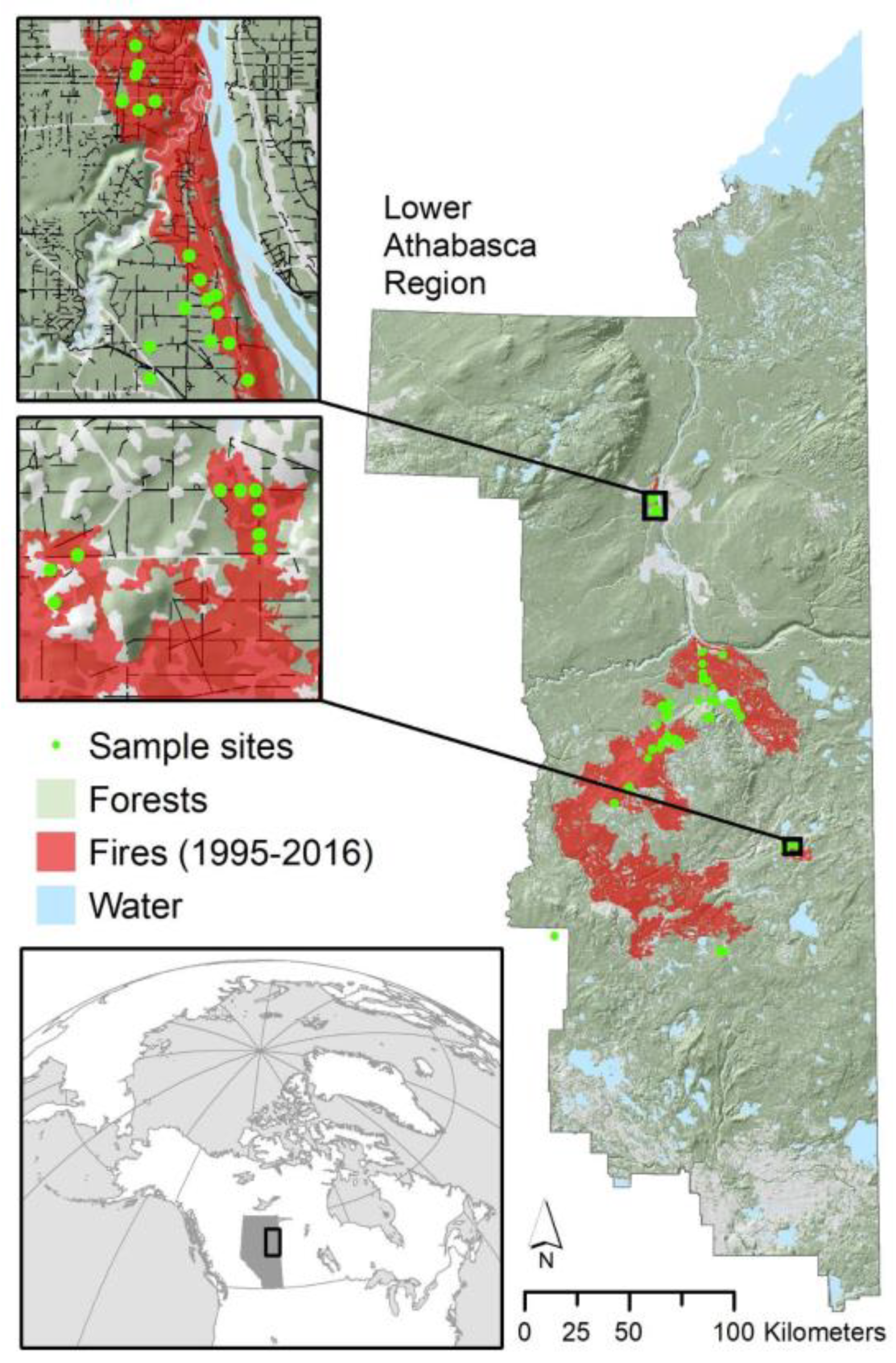 Forests 10 00295 g001 Forests 10 00295 g001