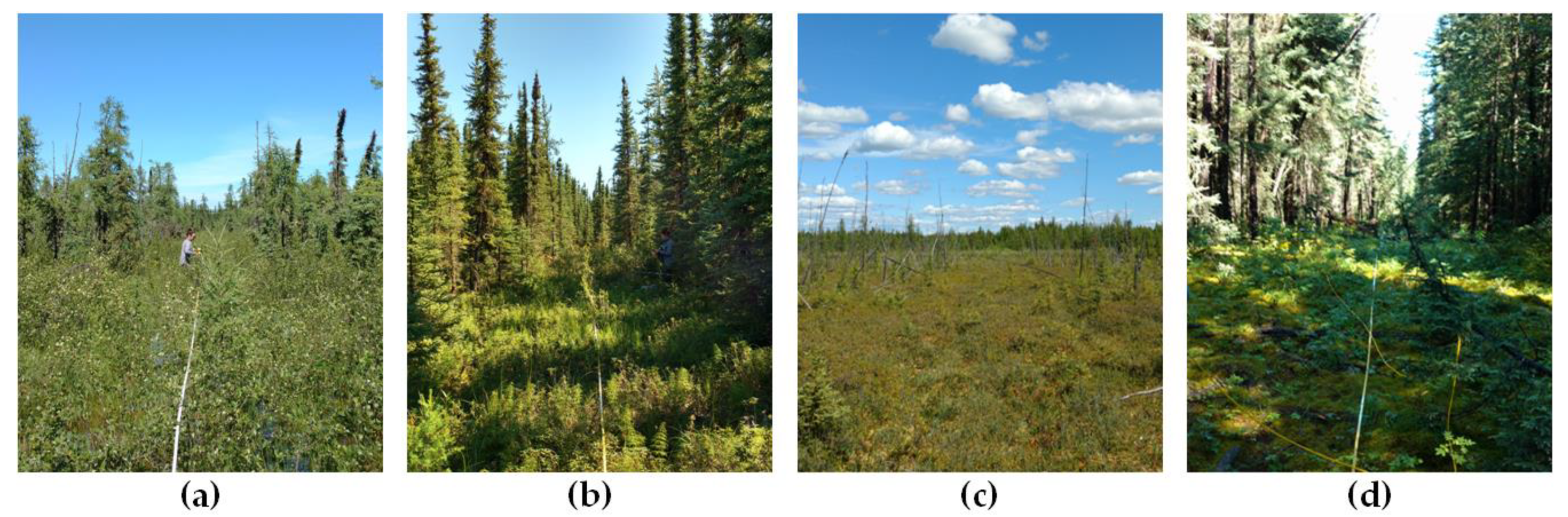 Forests 10 00295 g002 Forests 10 00295 g002