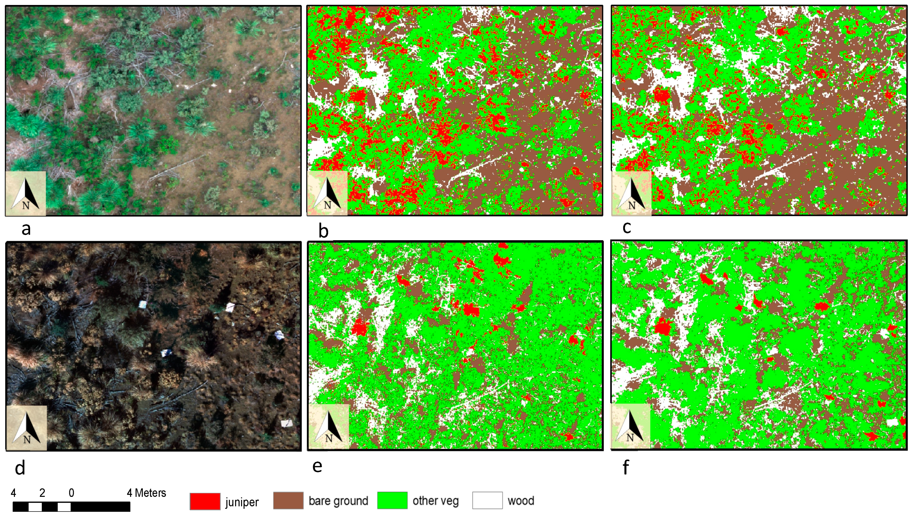 Forests 10 00296 g004