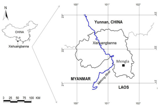 Forests Free Full Text Small Roots Of Parashorea Chinensis