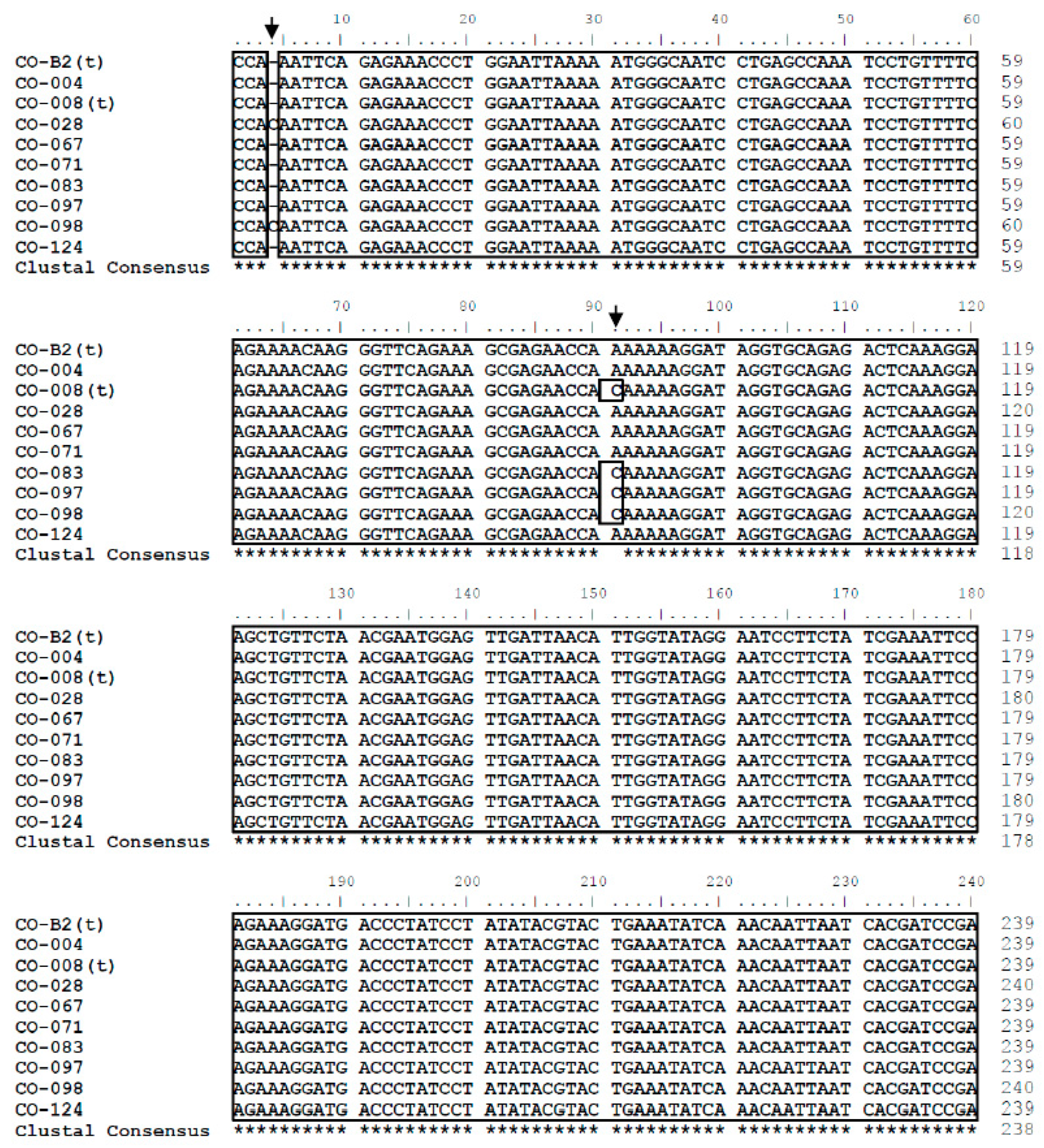 Forests 10 00306 g002a