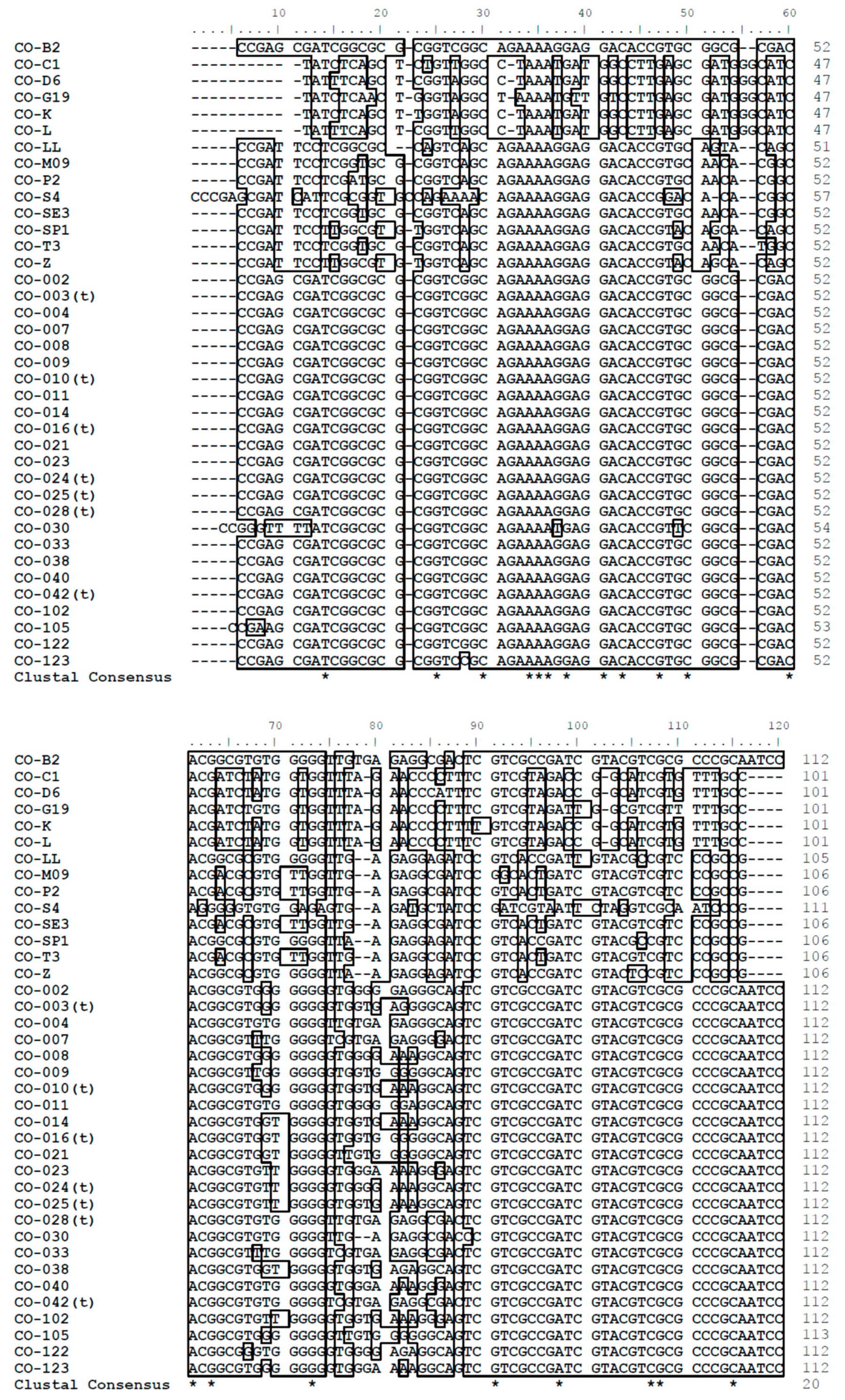 Forests 10 00306 g004a