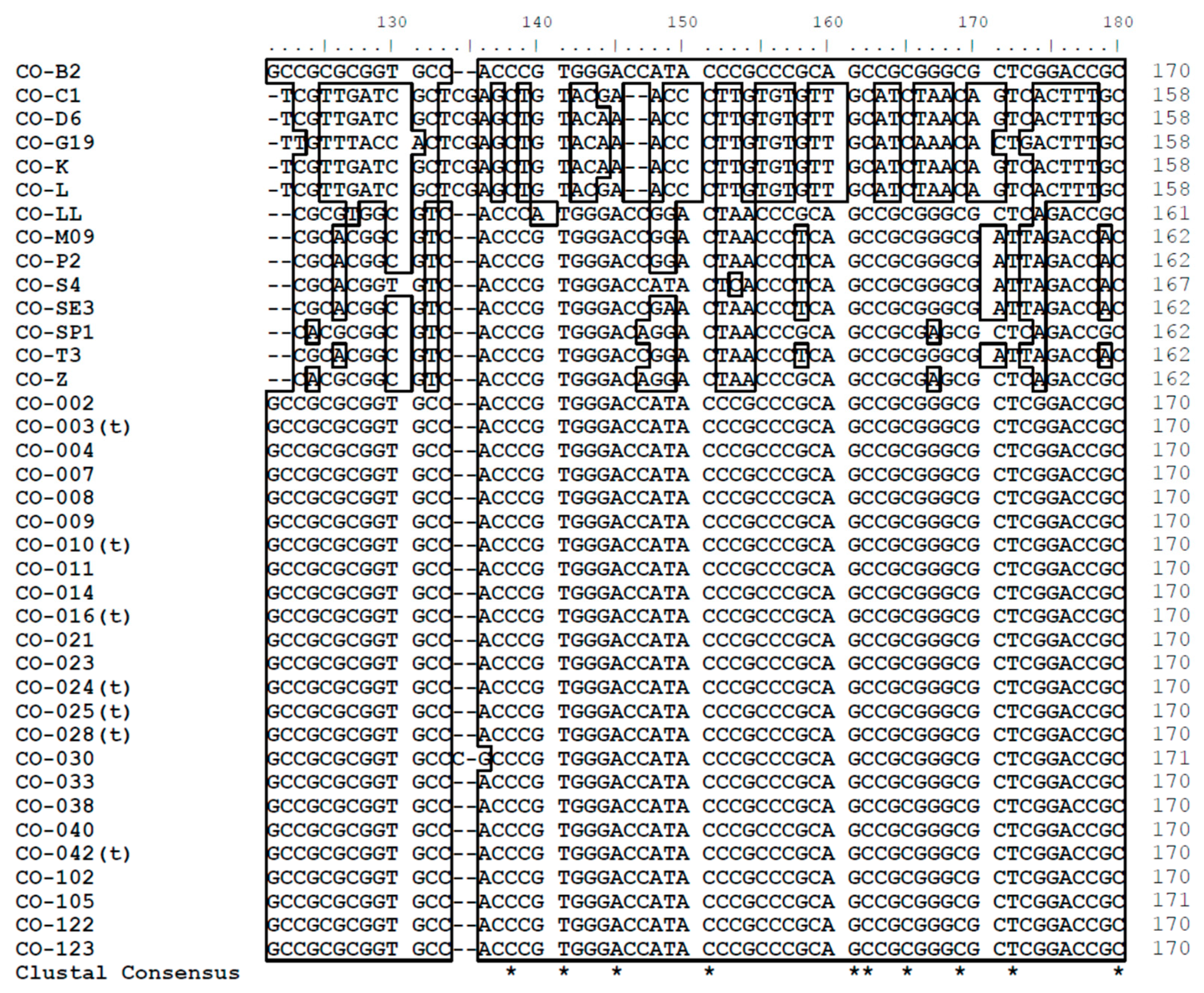 Forests 10 00306 g004b