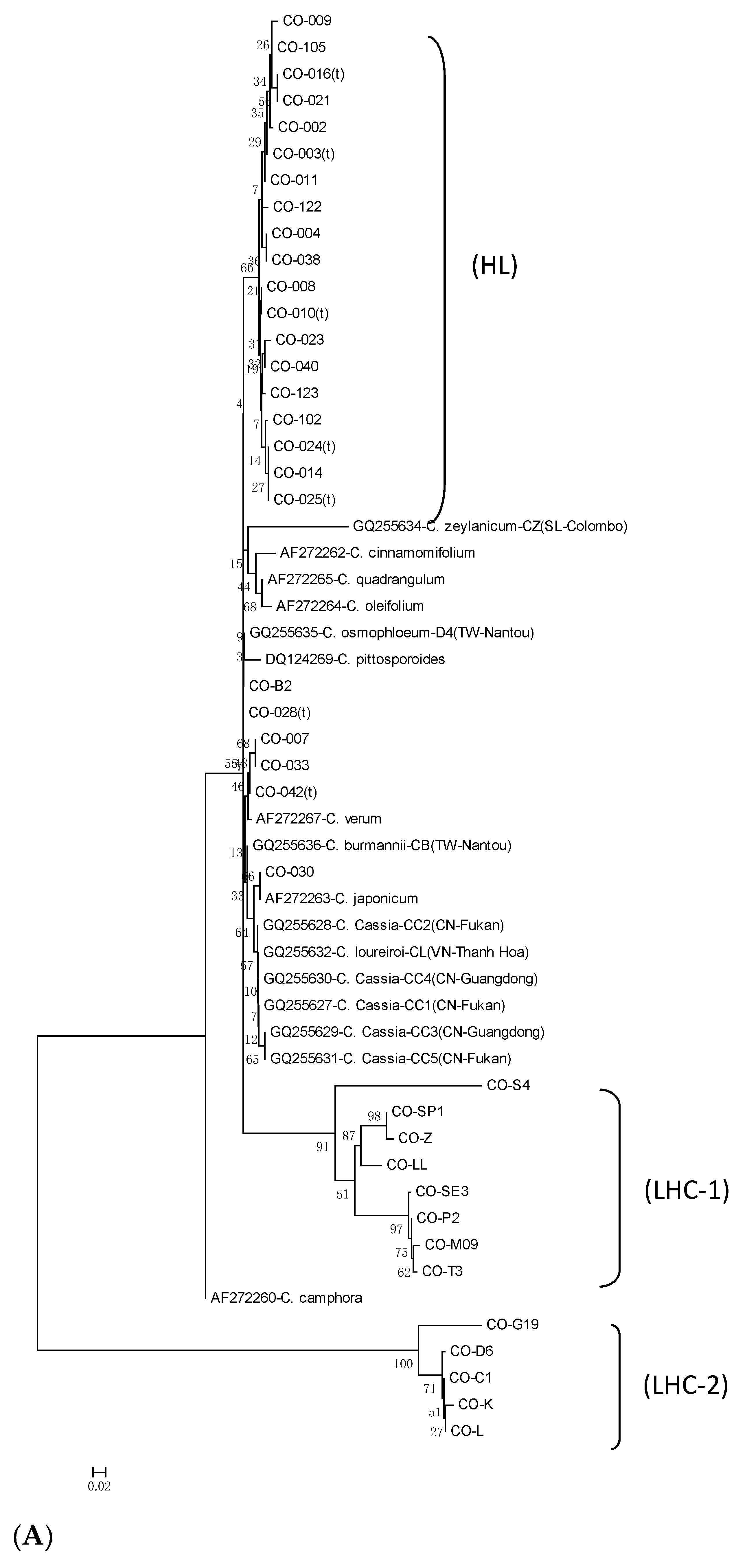 Forests 10 00306 g005a