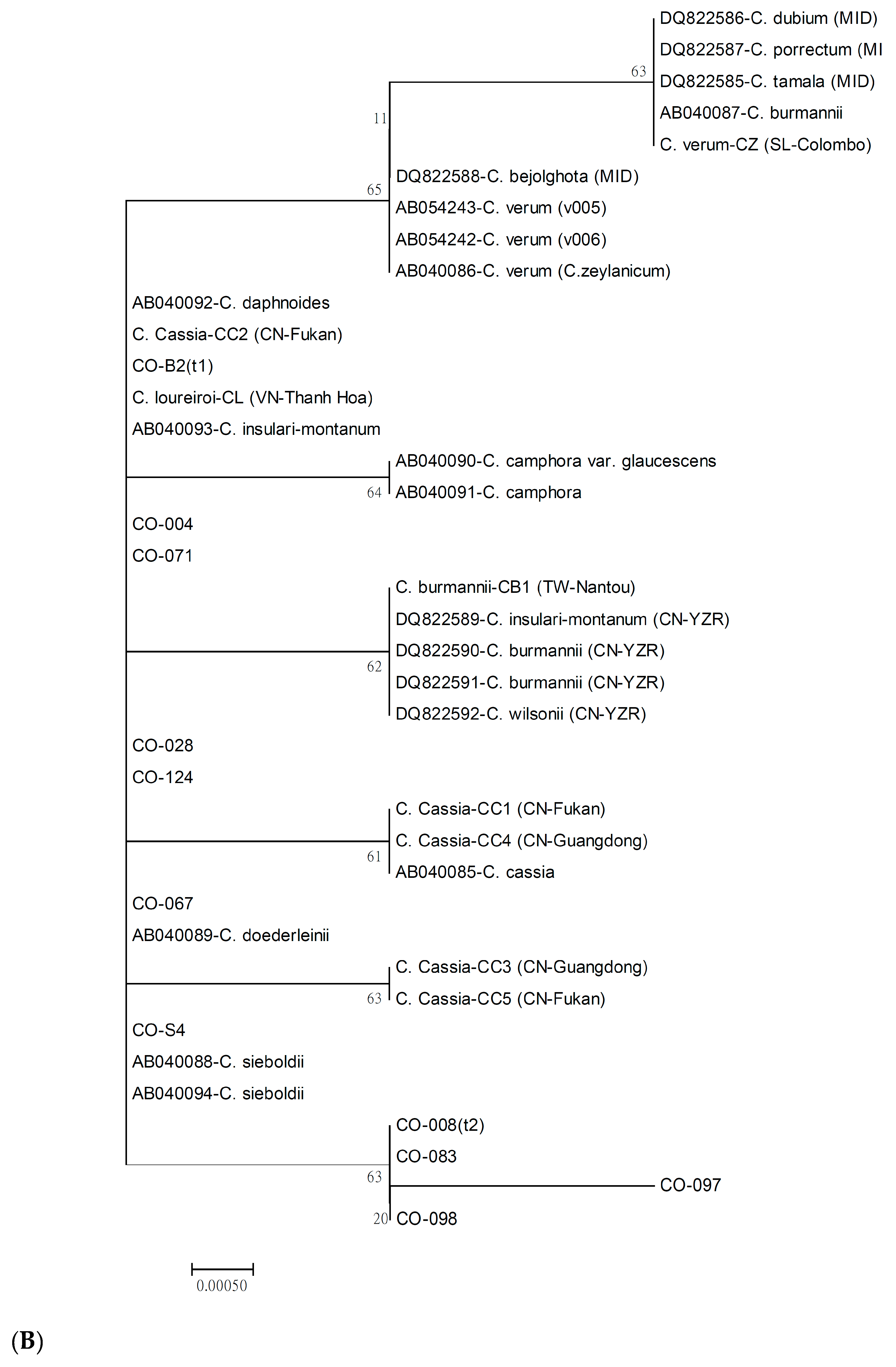 Forests 10 00306 g005b