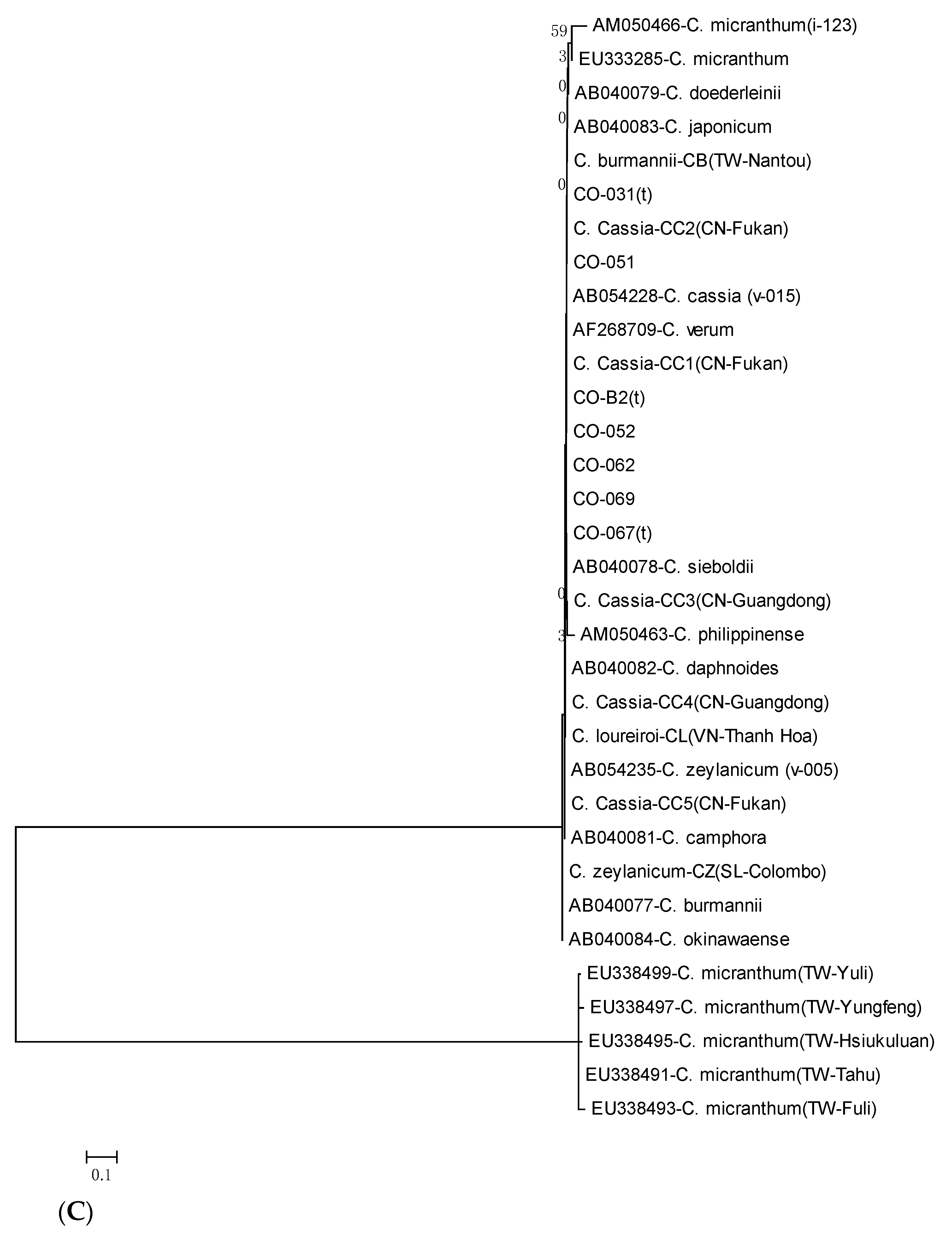 Forests 10 00306 g005c