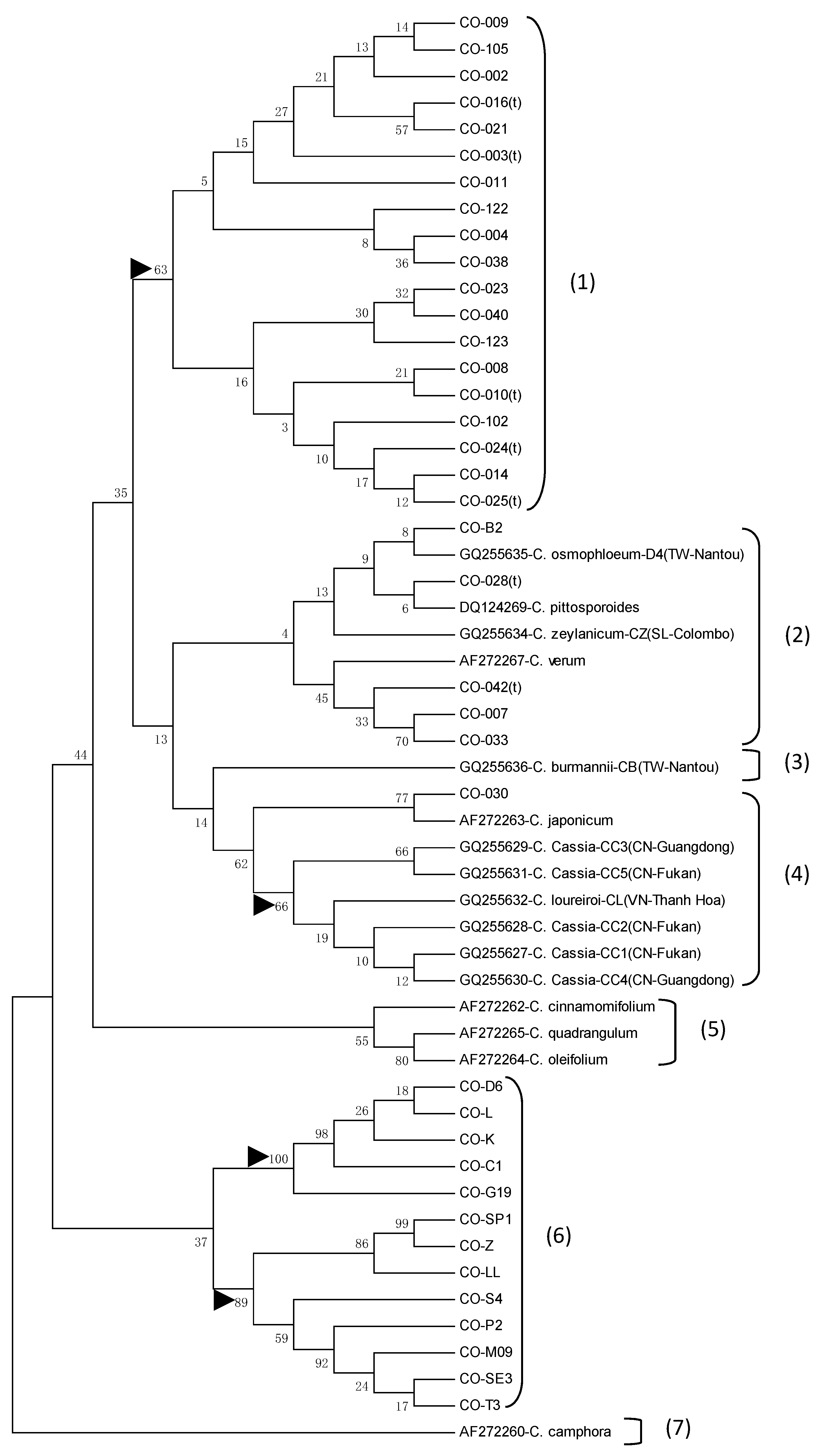 Forests 10 00306 g006