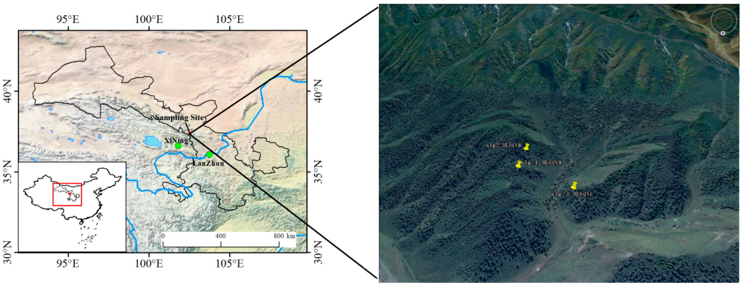 Forests 10 00310 g001