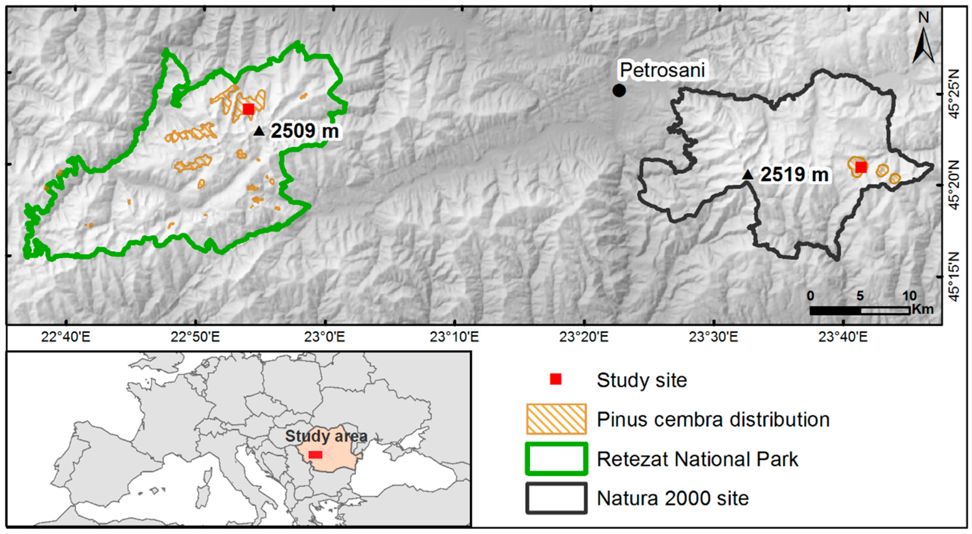 Forests 10 00326 g001