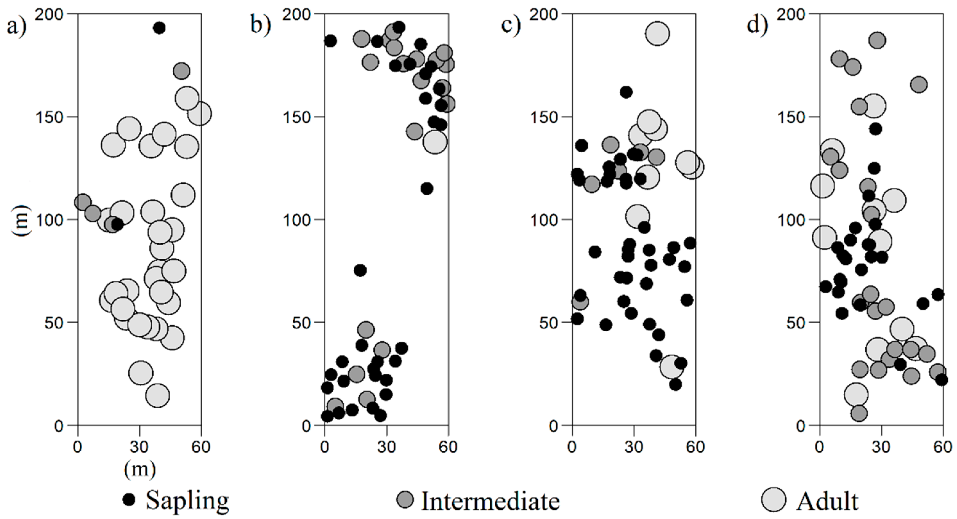 Forests 10 00326 g002