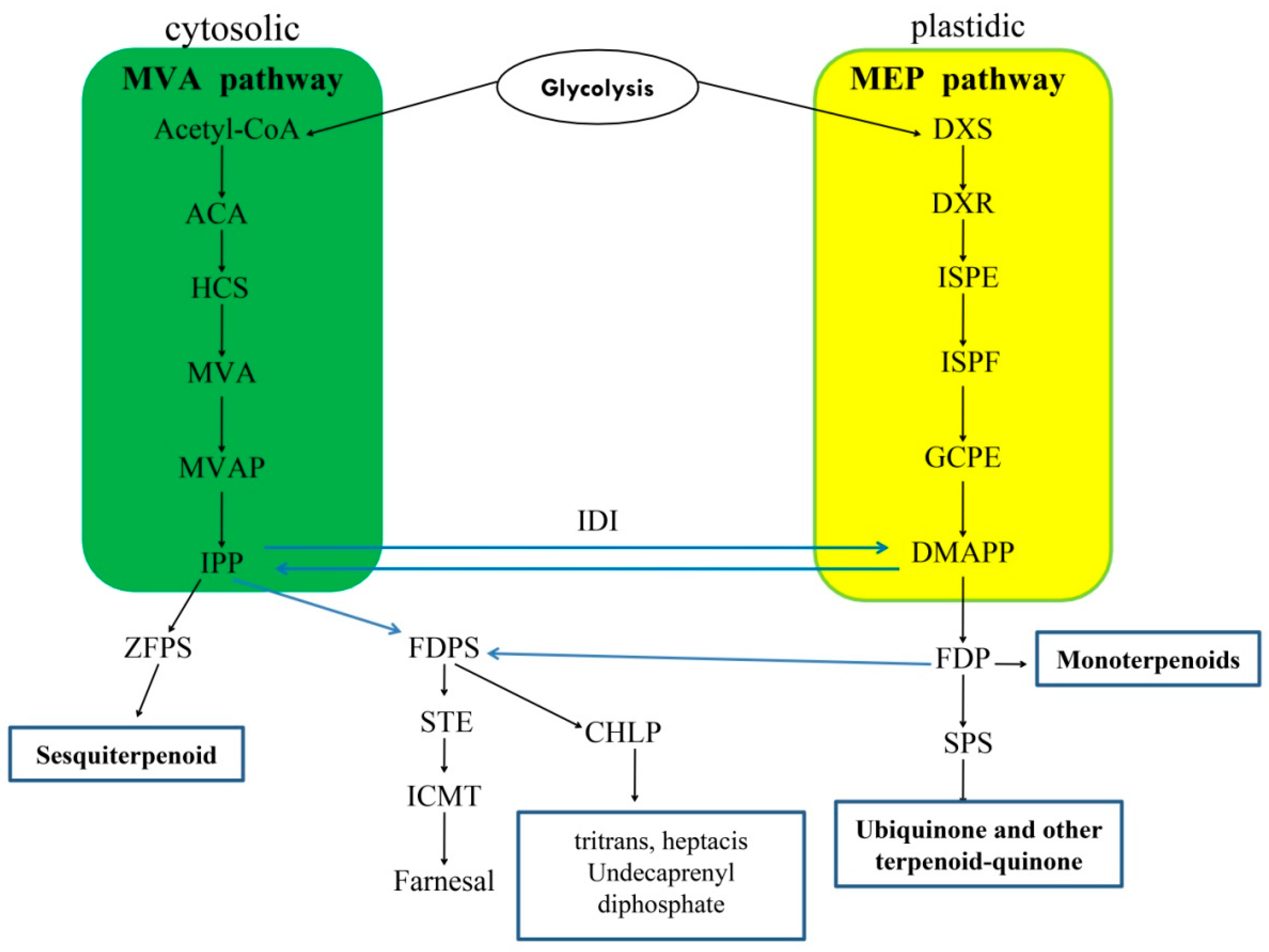 Forests 10 00328 g001