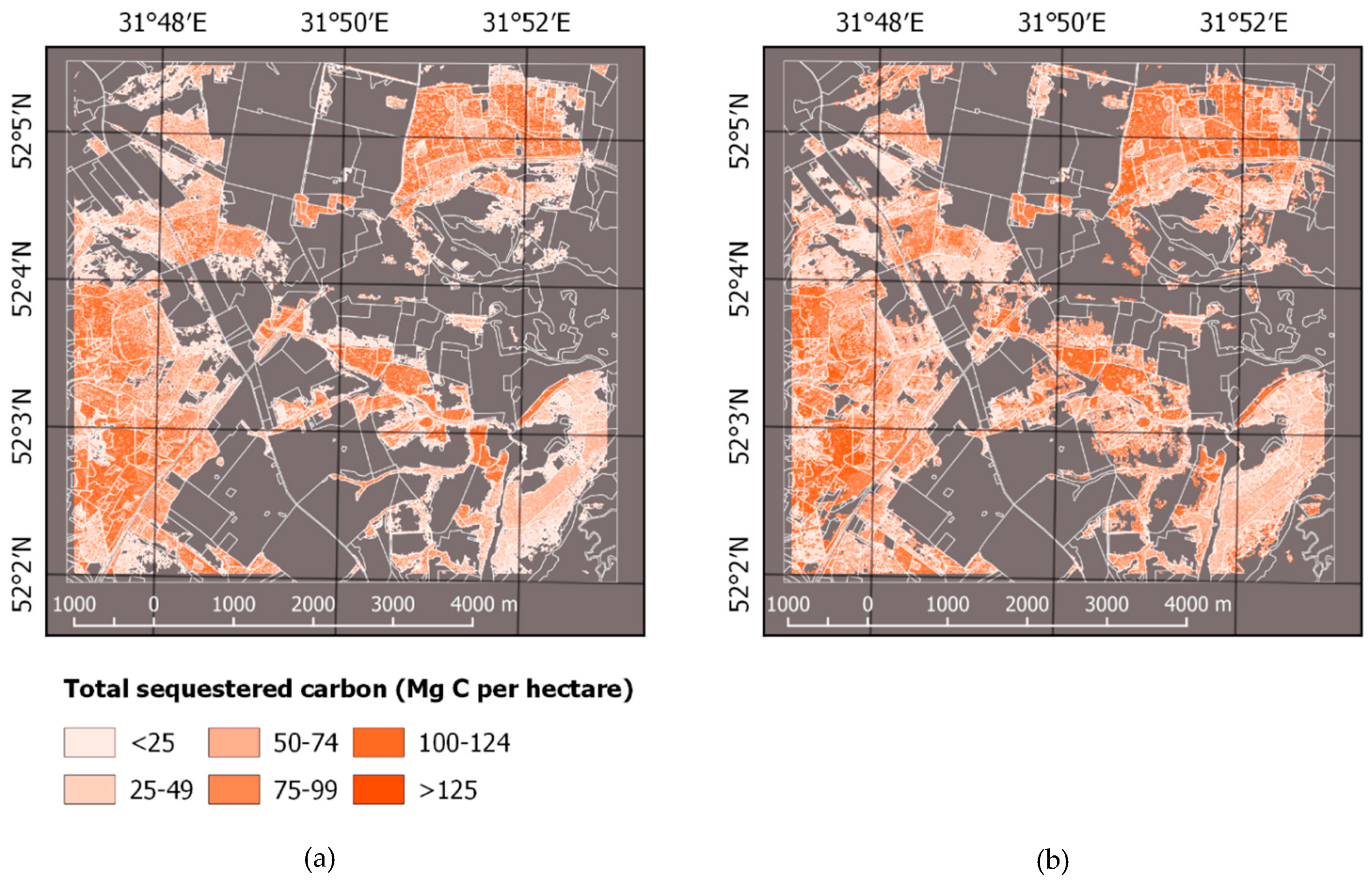 Forests 10 00337 g003