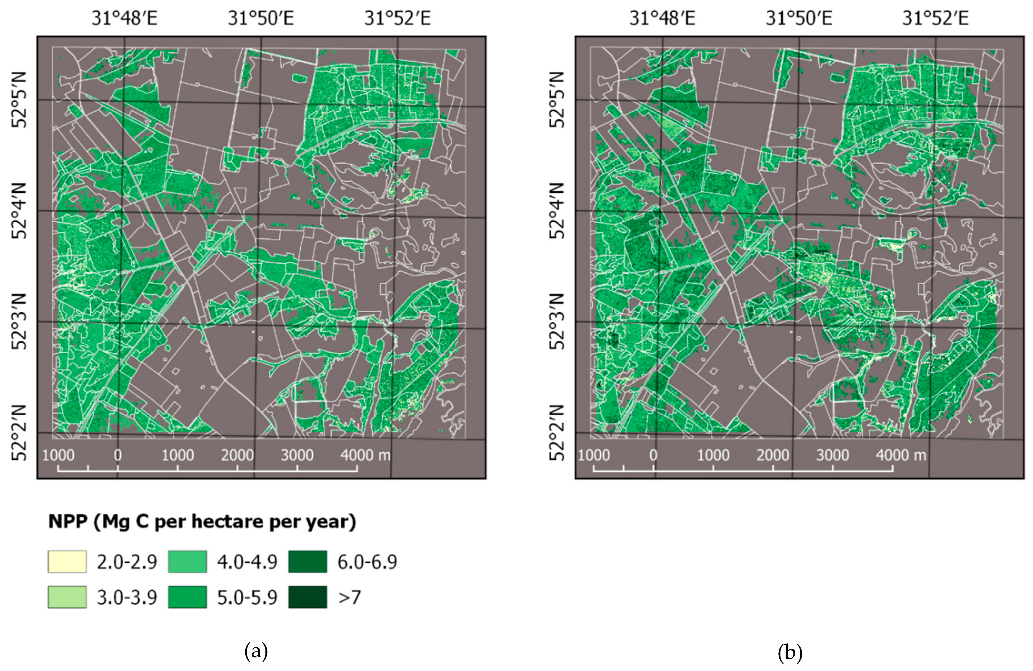 Forests 10 00337 g004