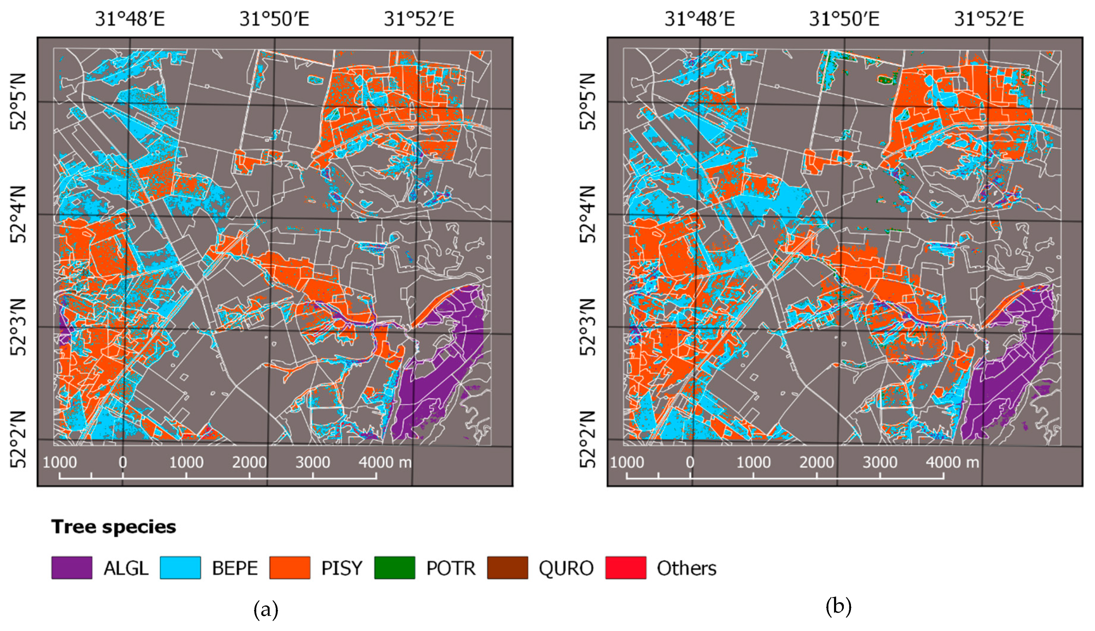 Forests 10 00337 g0a1