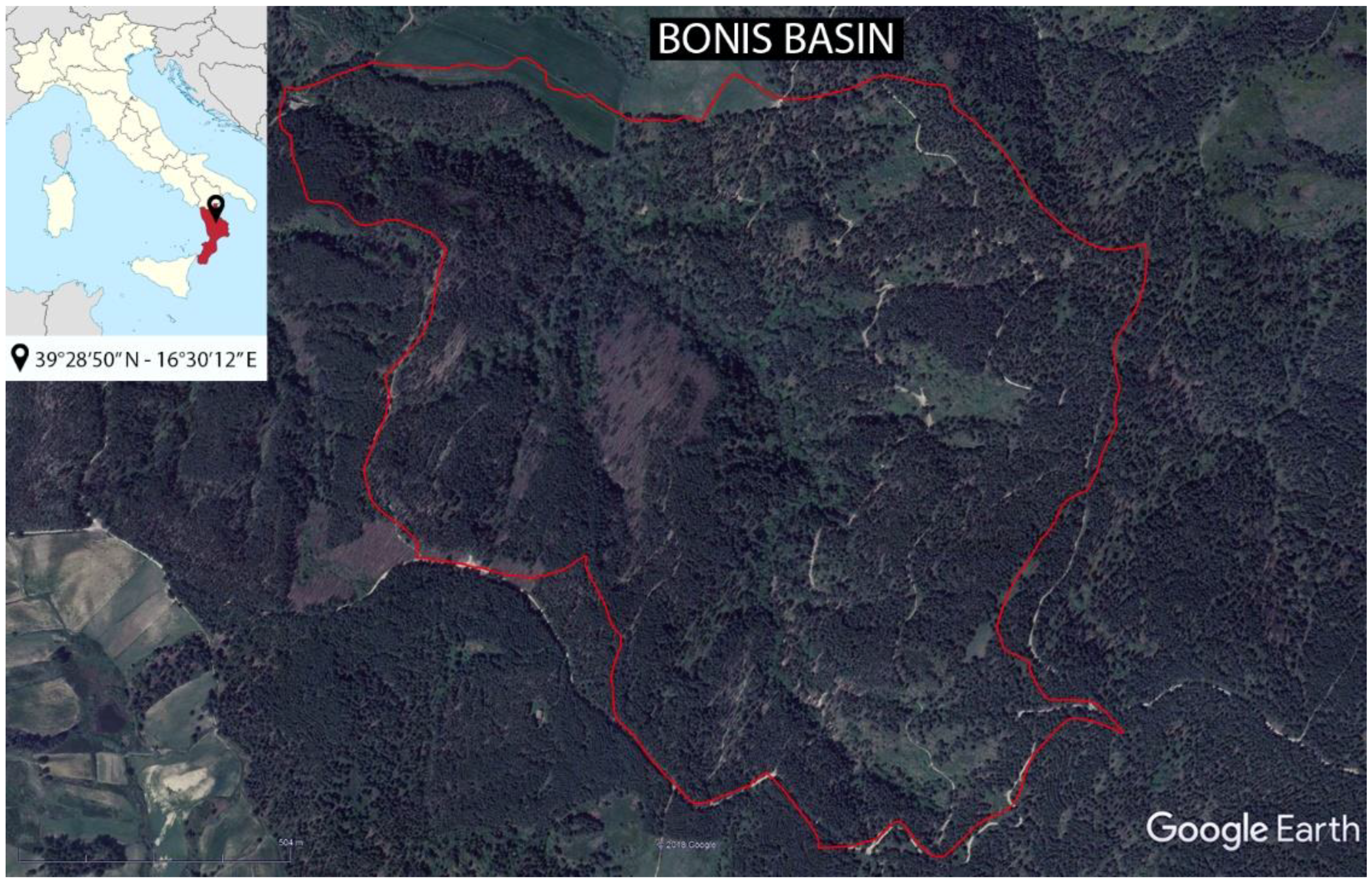 Forests 10 00341 g001