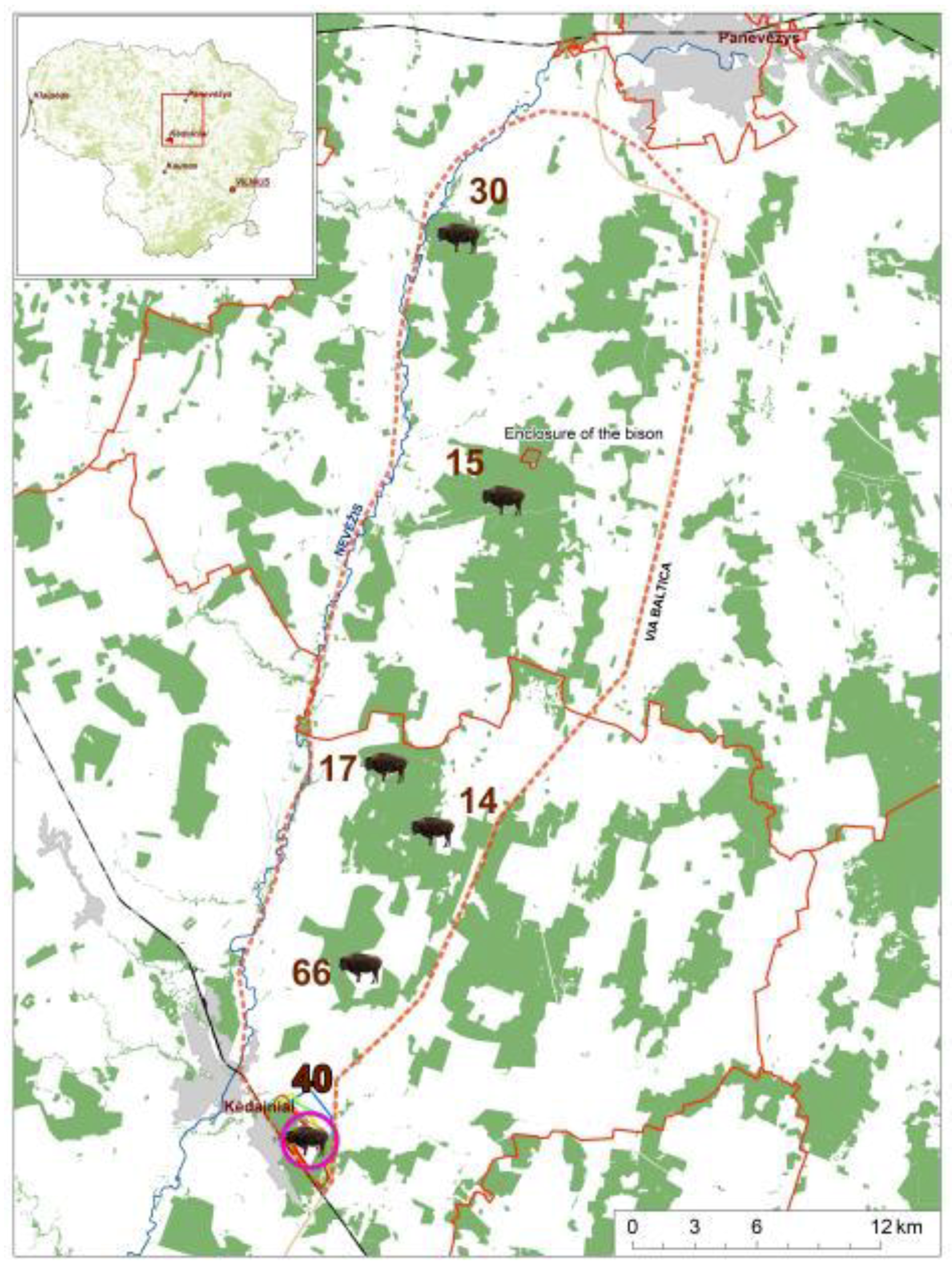 Forests 10 00345 g003 Forests 10 00345 g003