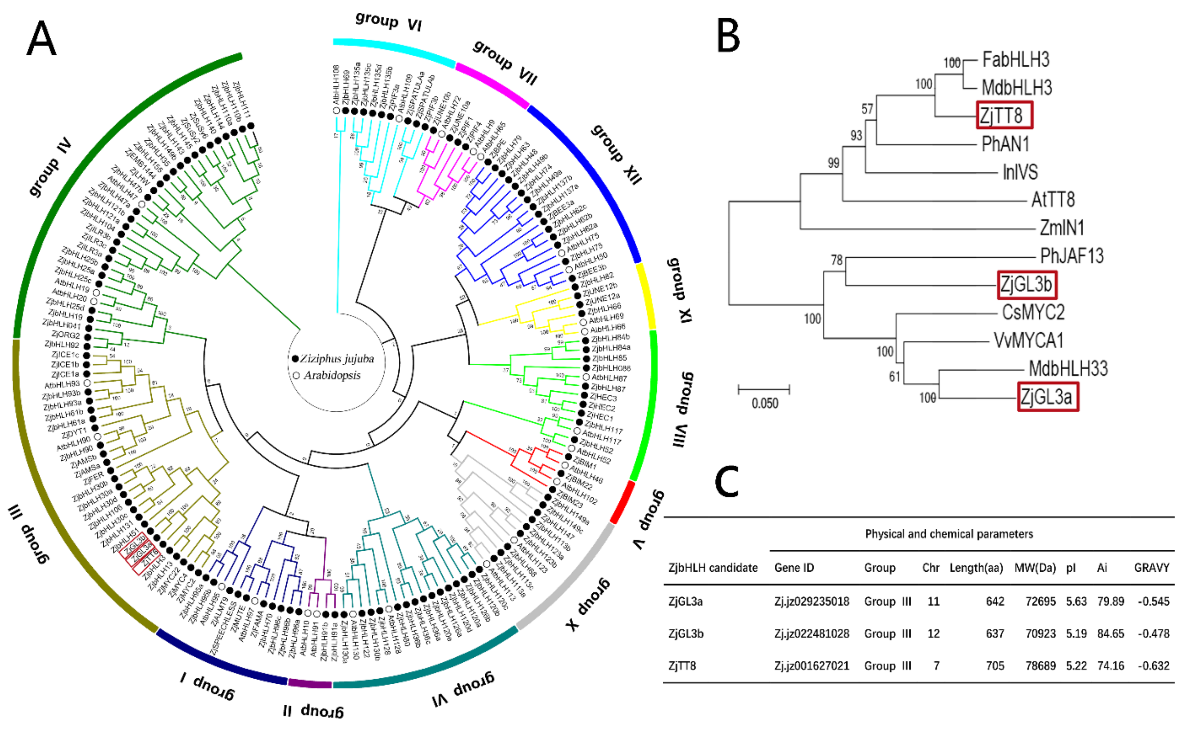Forests 10 00346 g001