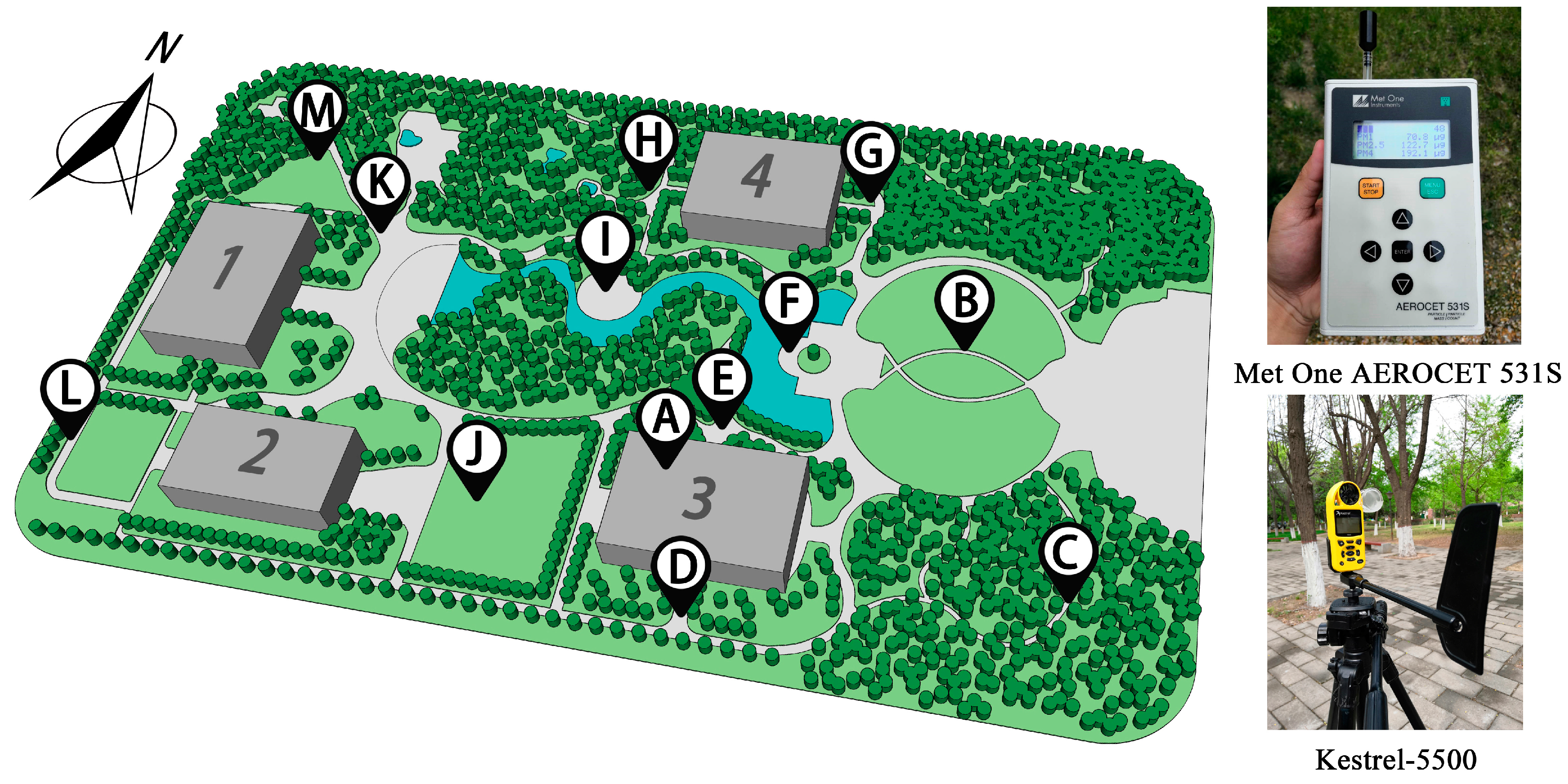 Forests 10 00373 g002