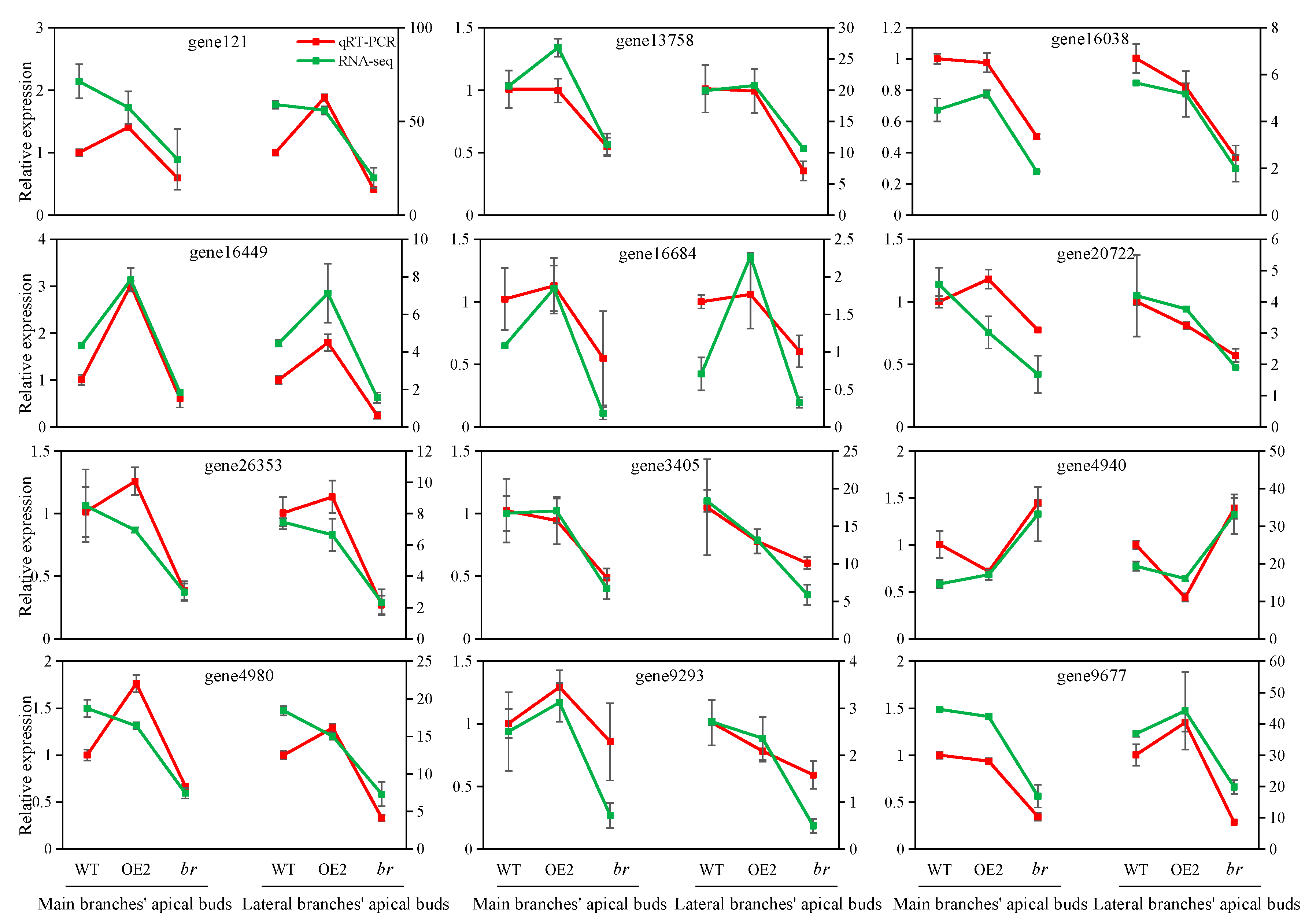 Forests 10 00374 g004 Forests 10 00374 g004