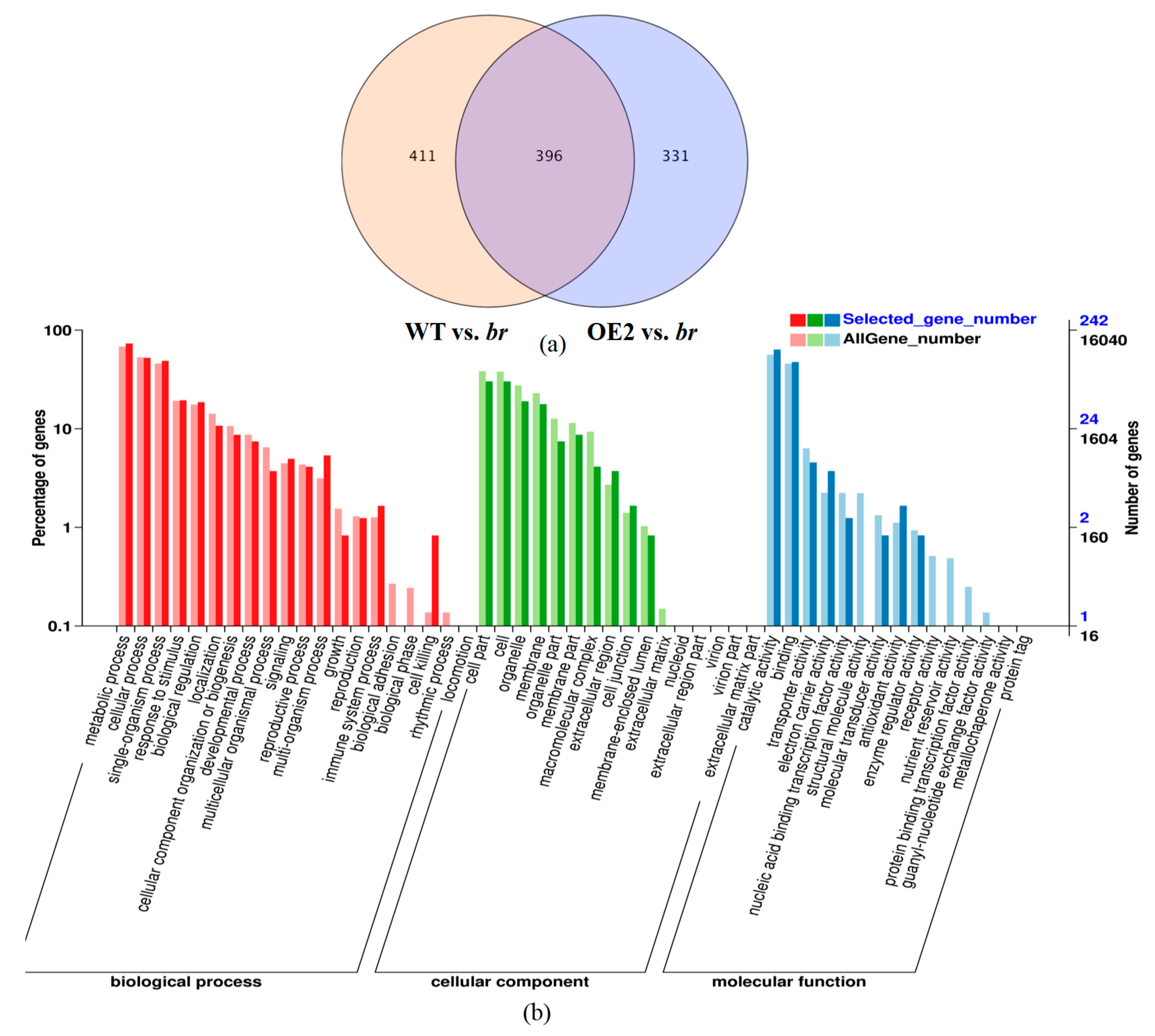 Forests 10 00374 g006a Forests 10 00374 g006a