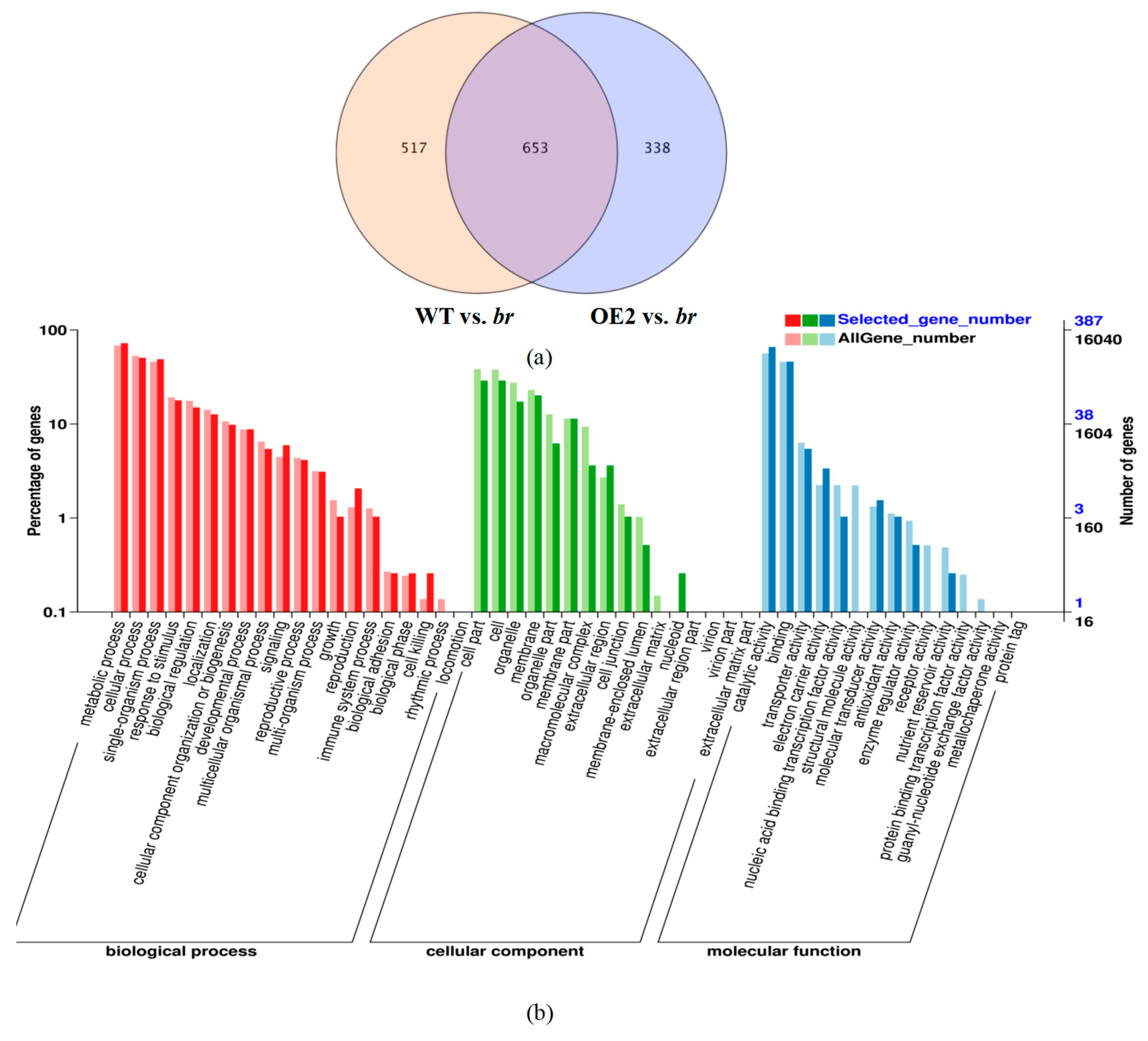 Forests 10 00374 g007a Forests 10 00374 g007a