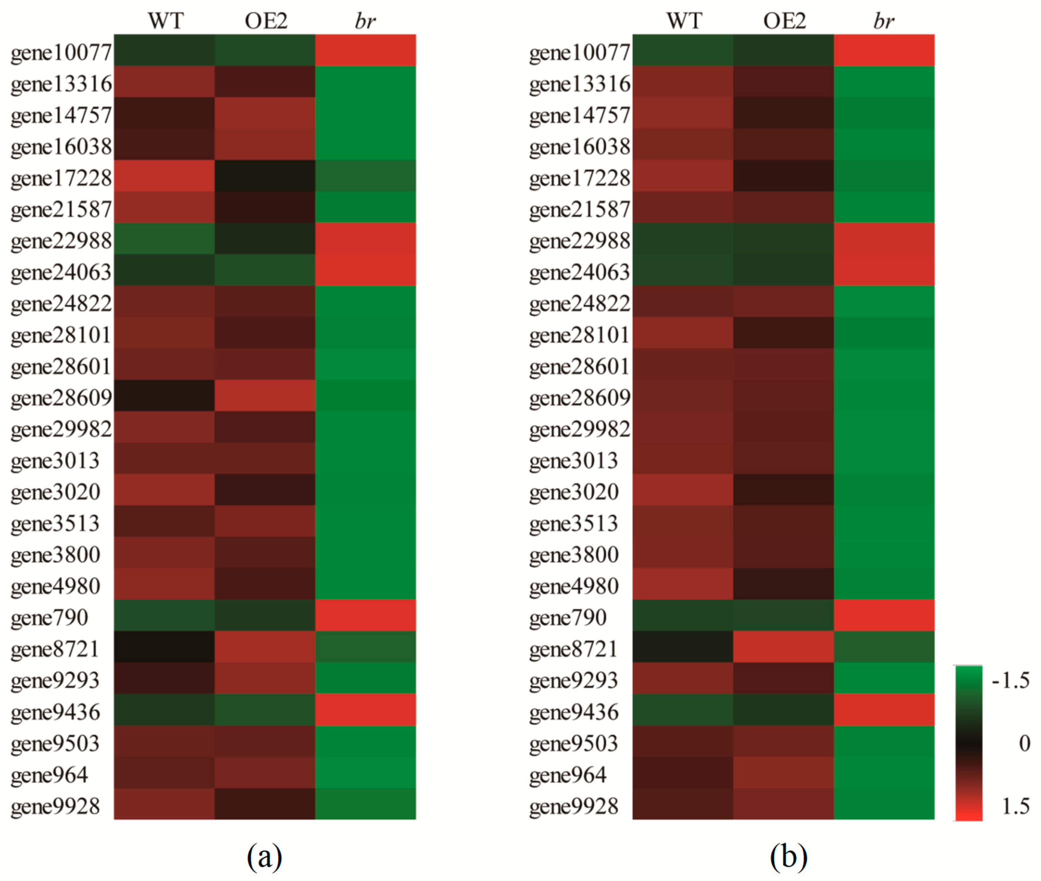Forests 10 00374 g008 Forests 10 00374 g008