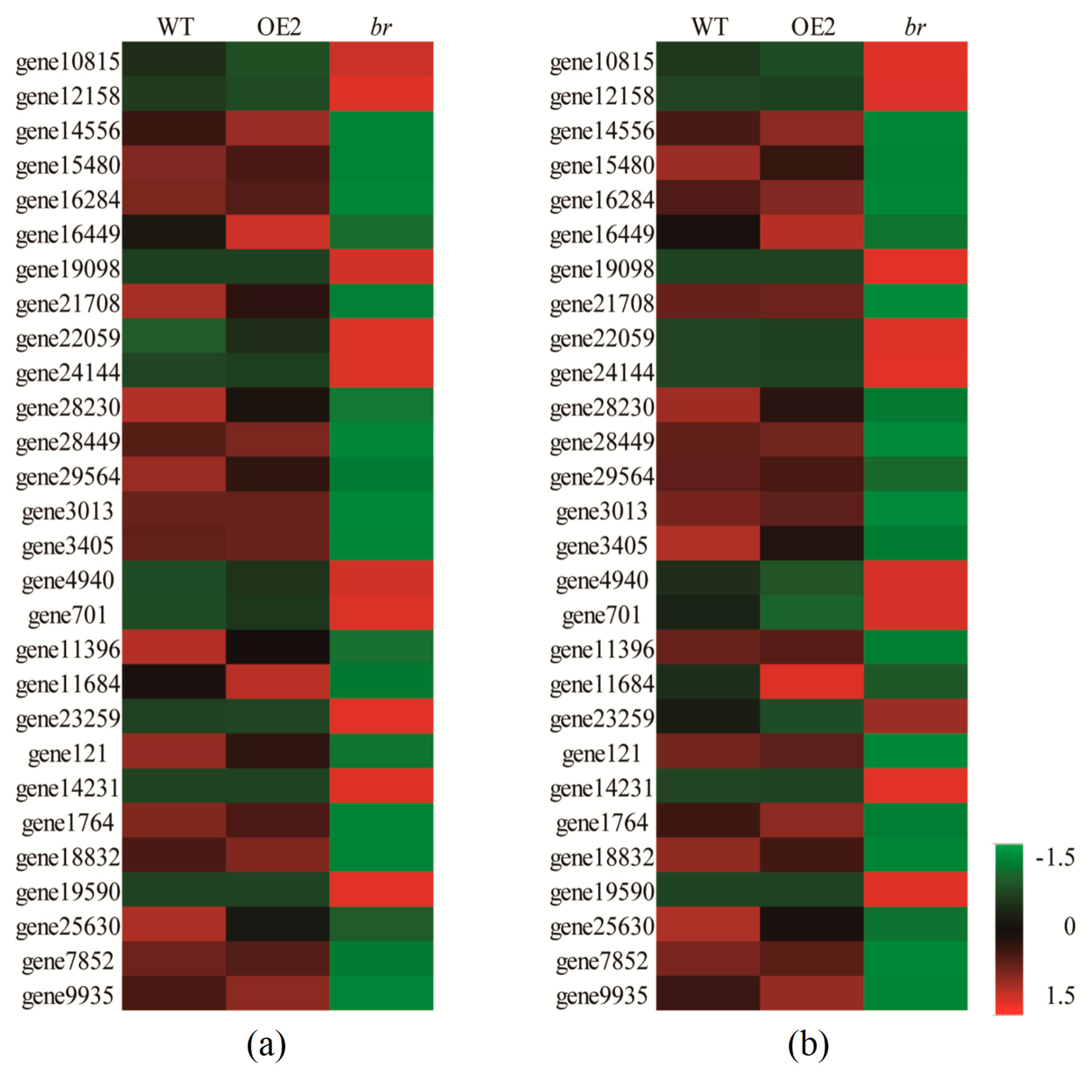 Forests 10 00374 g010 Forests 10 00374 g010