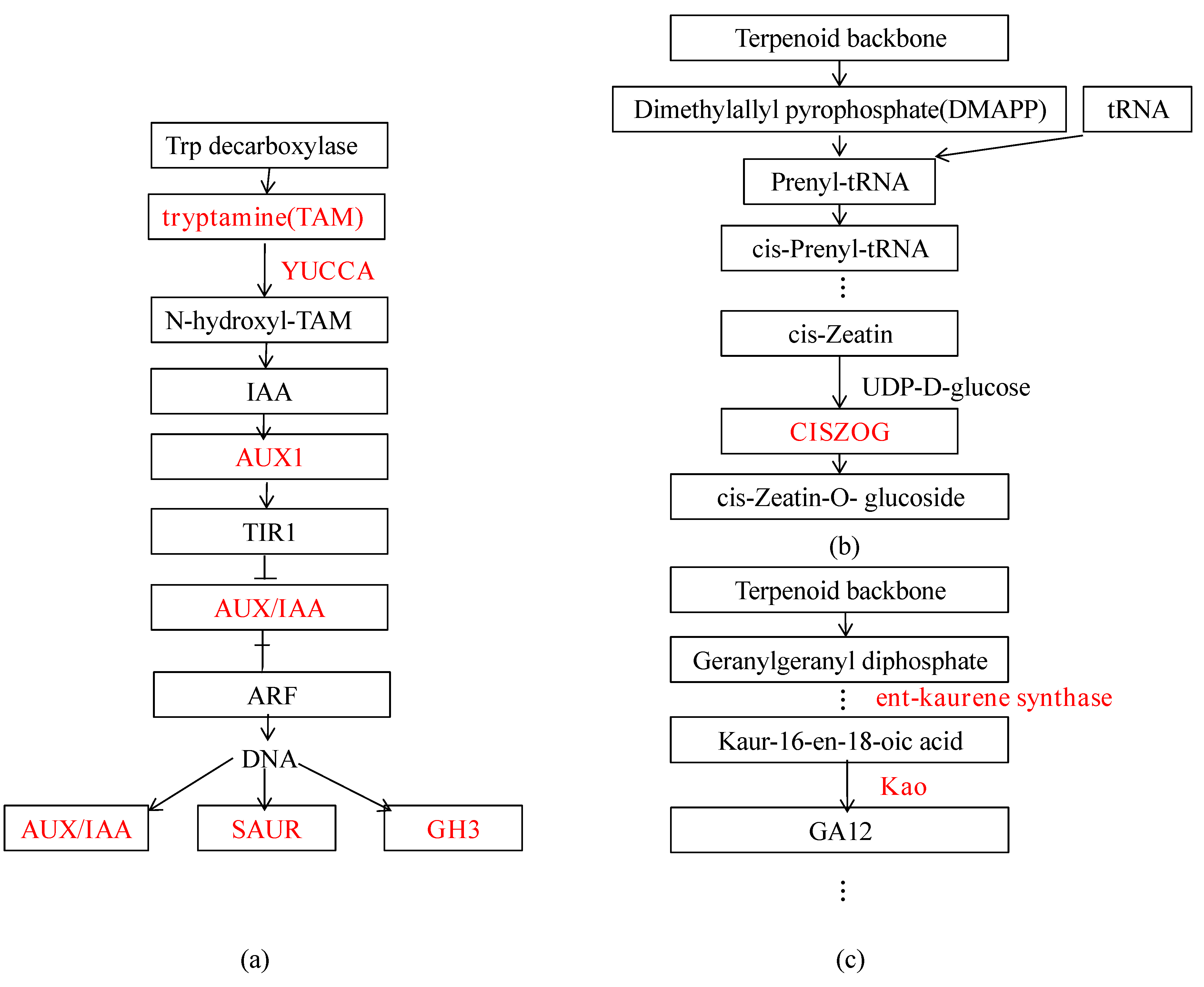 Forests 10 00374 g011 Forests 10 00374 g011