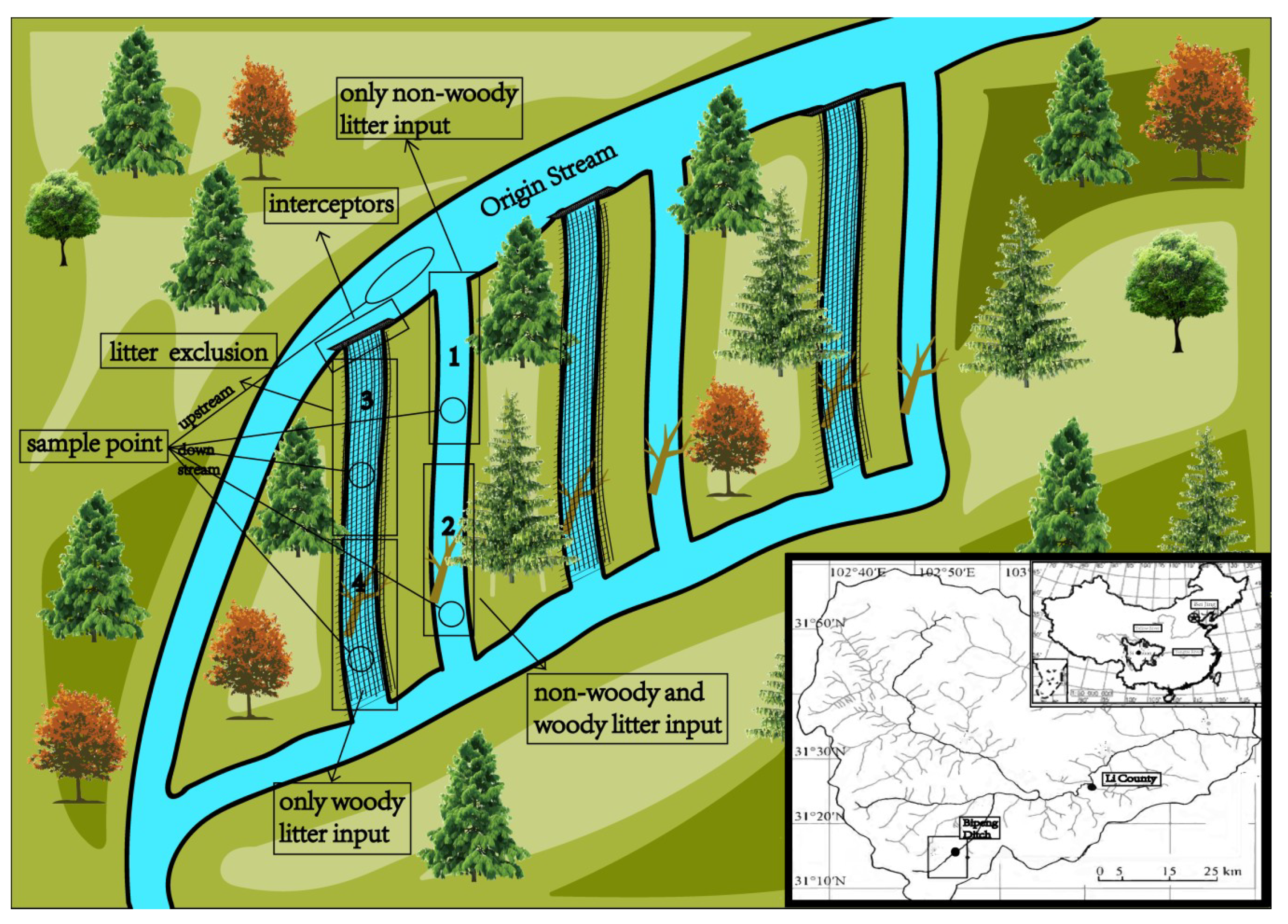 Forests Free Full Text Woody Litter Increases Headwater Stream Metal Export Ratio In An Alpine Forest Html Forests Free Full Text Woody Litter Increases Headwater Stream Metal Export Ratio In An Alpine Forest Html