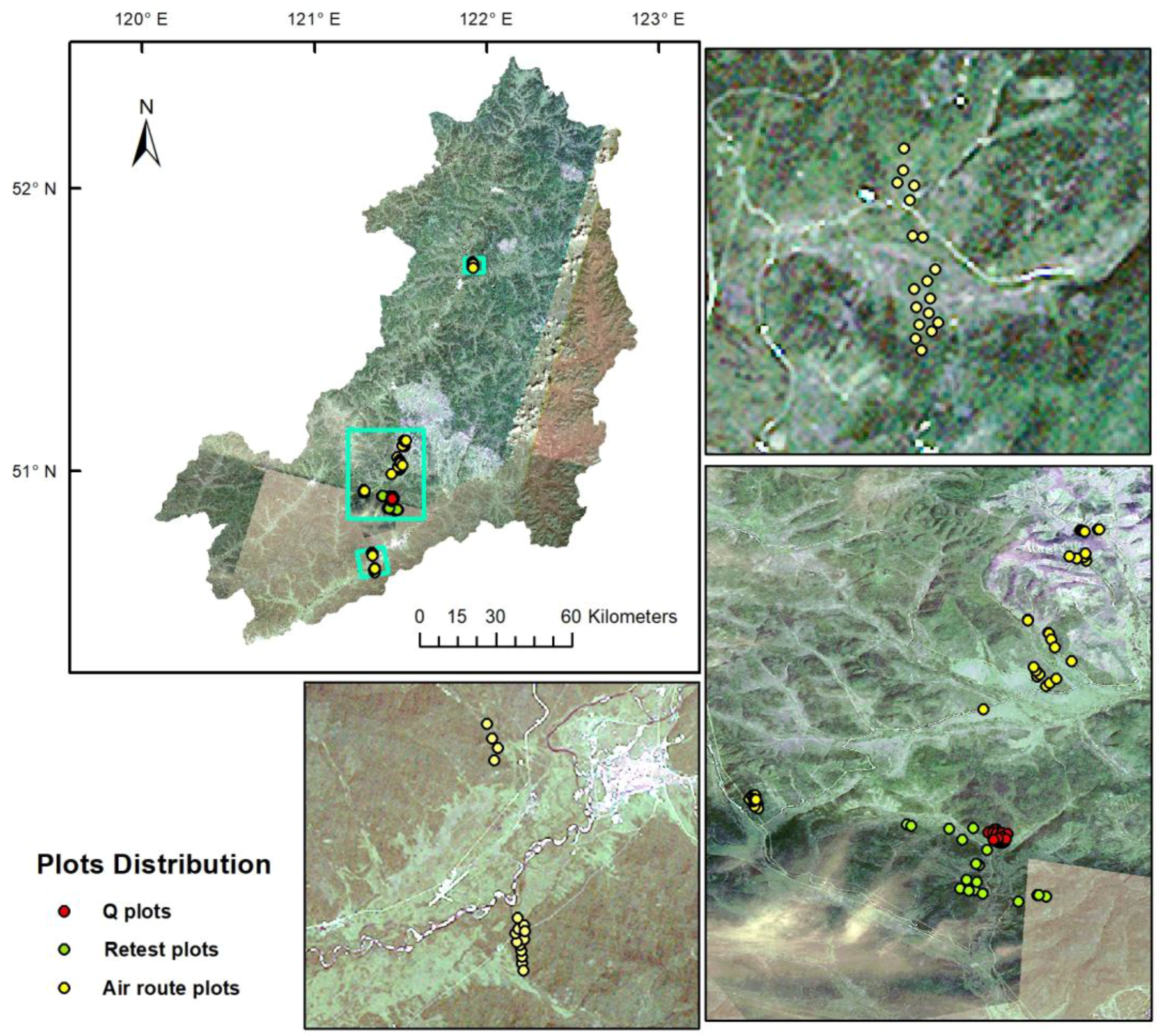 Forests 10 00380 g001
